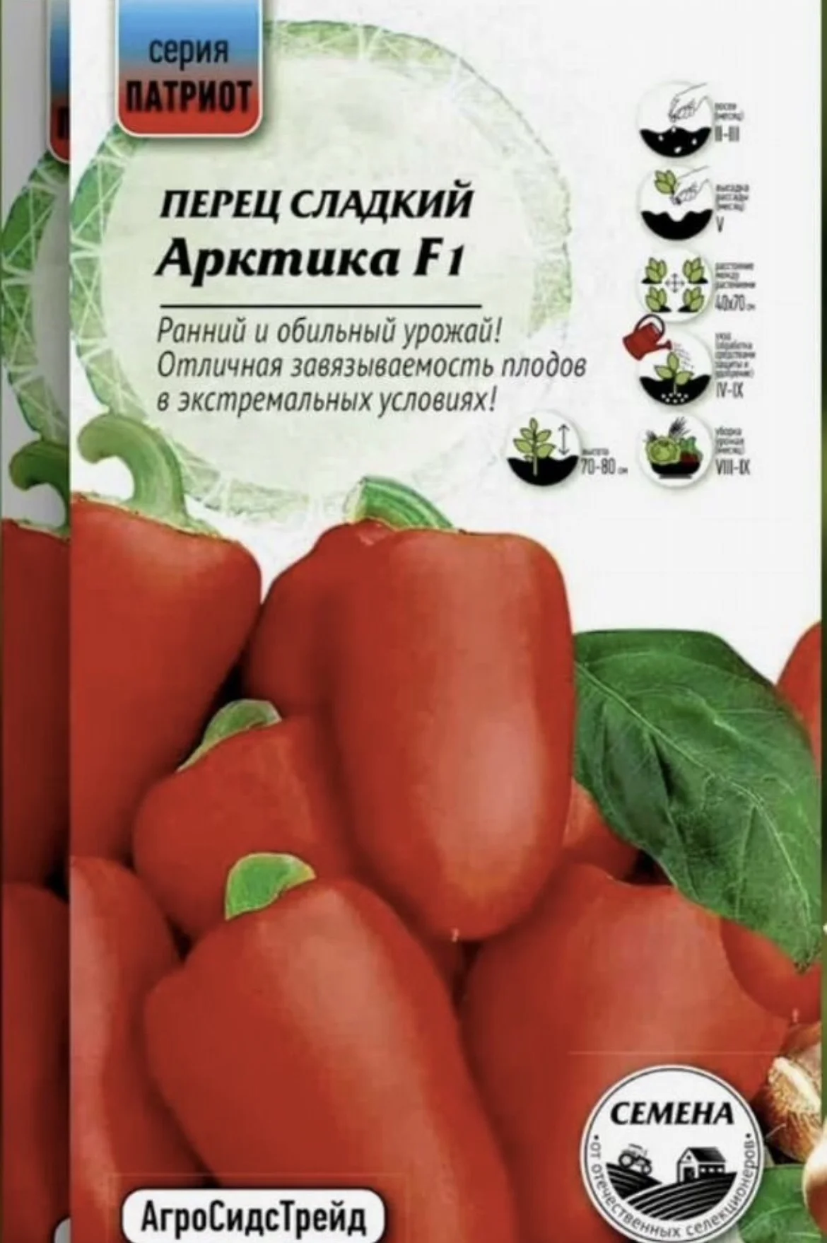 Рассада: комнатные томаты Пиноккио и перцы Арктика - миниатюра 6