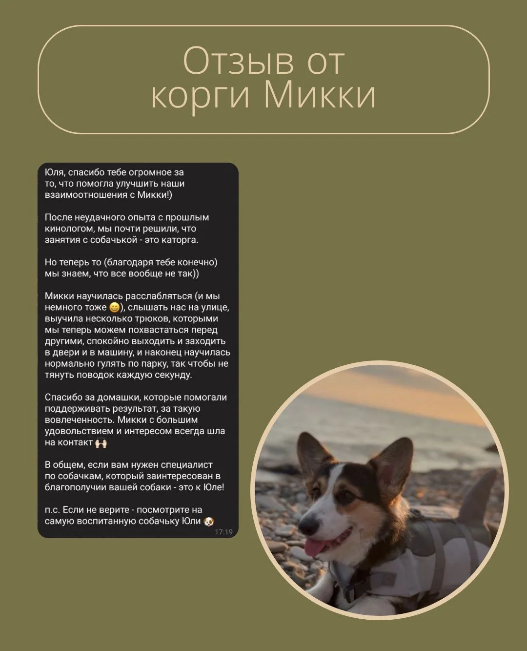 Кинолог очно и онлайн - миниатюра 2