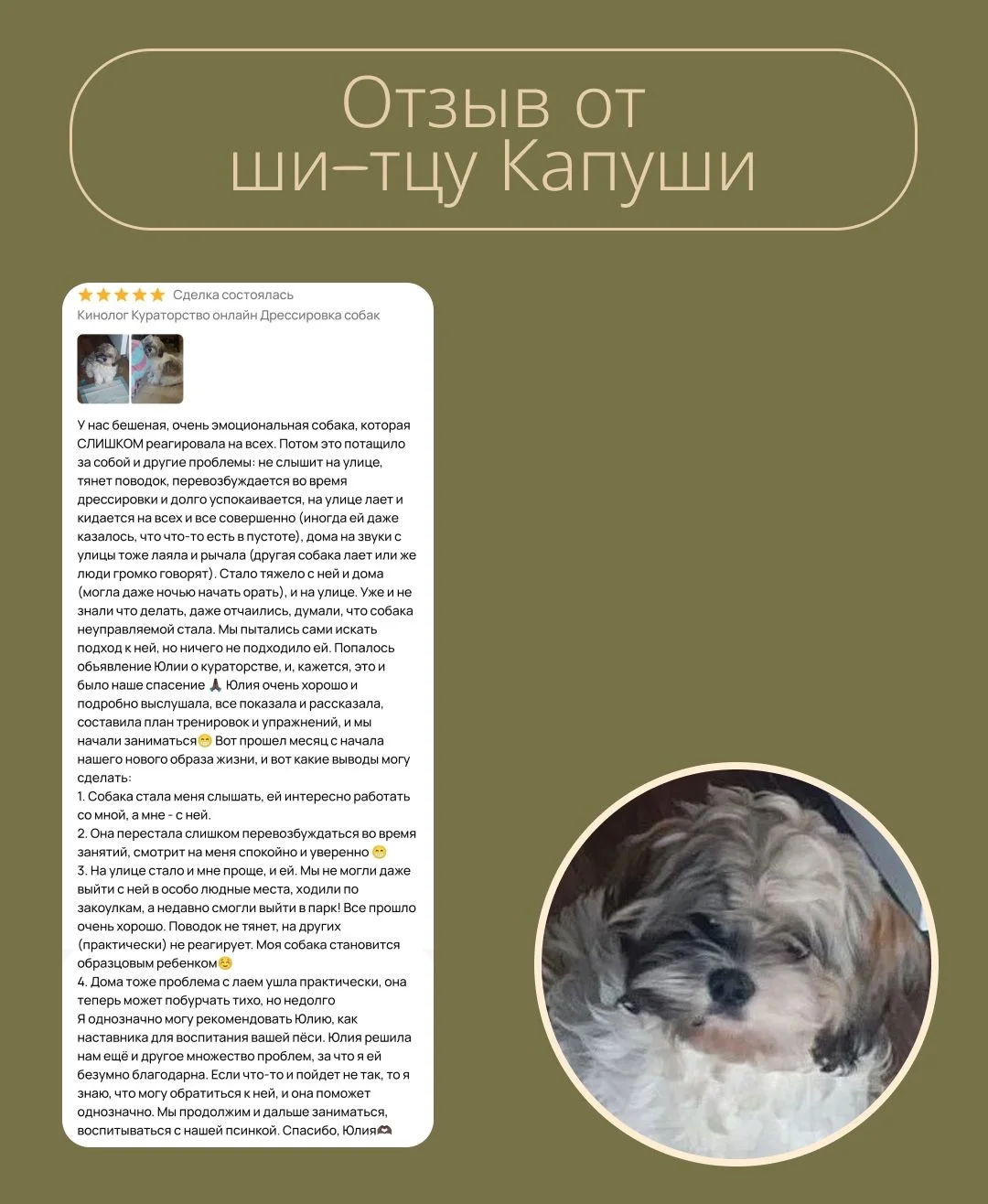Кинолог очно и онлайн - миниатюра 3