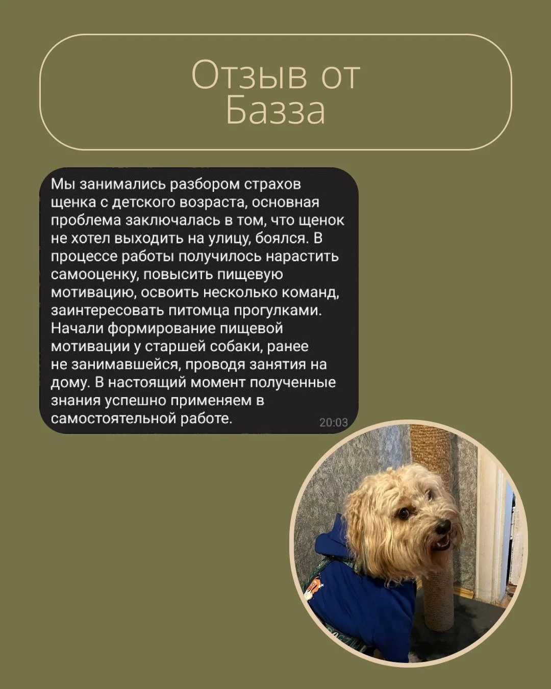 Кинолог очно и онлайн - миниатюра 4