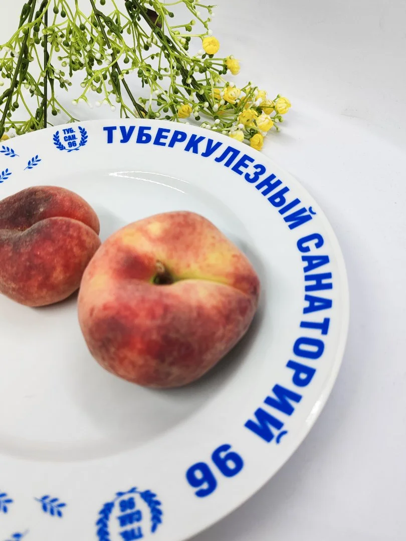 Тарелка Туберкулезный санаторий - миниатюра 2