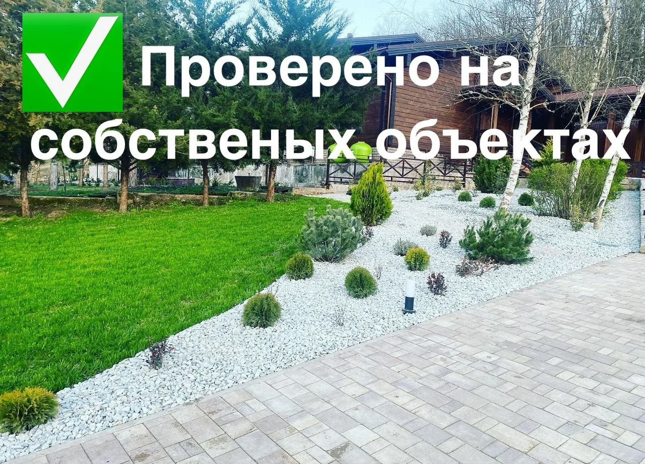 Ландшафтный дизайн. Газон. Автополив - изображение 1