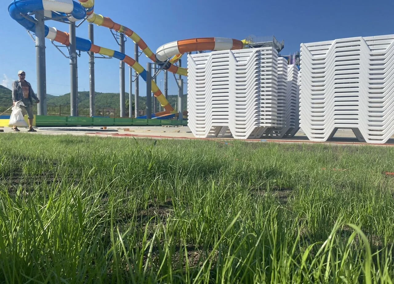 Ландшафтный дизайн. Газон. Автополив - миниатюра 10