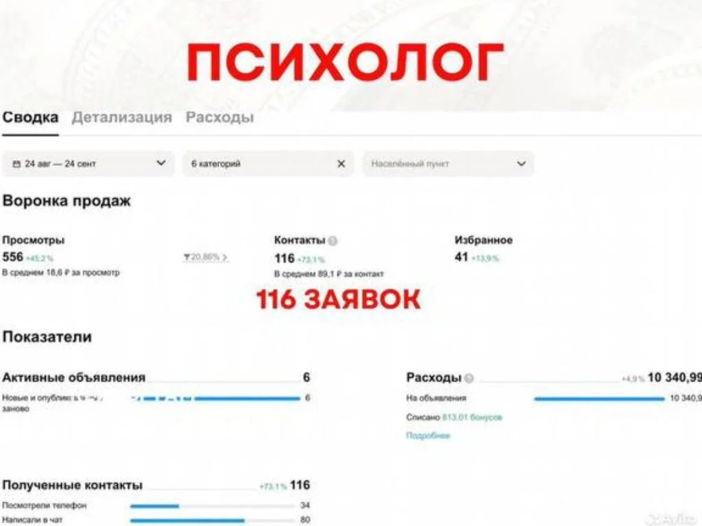 Авитолог / толковая реклама на Авито - миниатюра 8