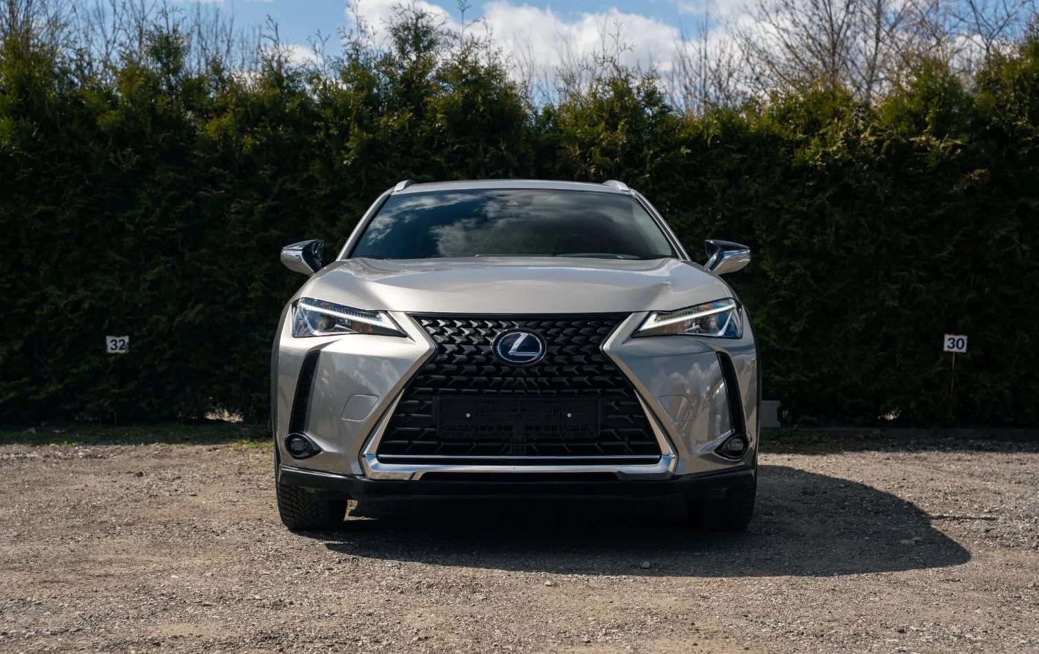Lexus UX 250h - изображение 1