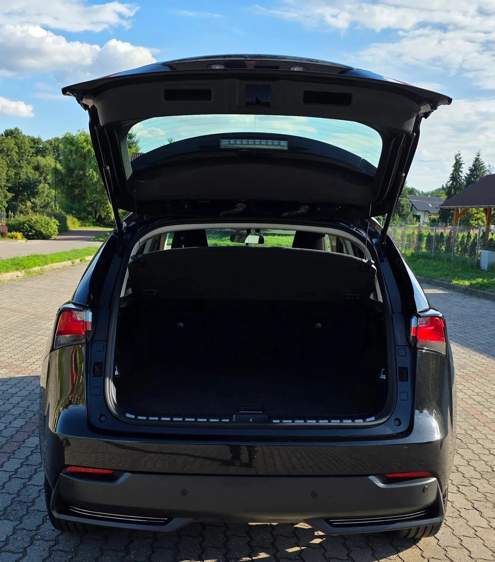 Lexus NX 300h - миниатюра 10