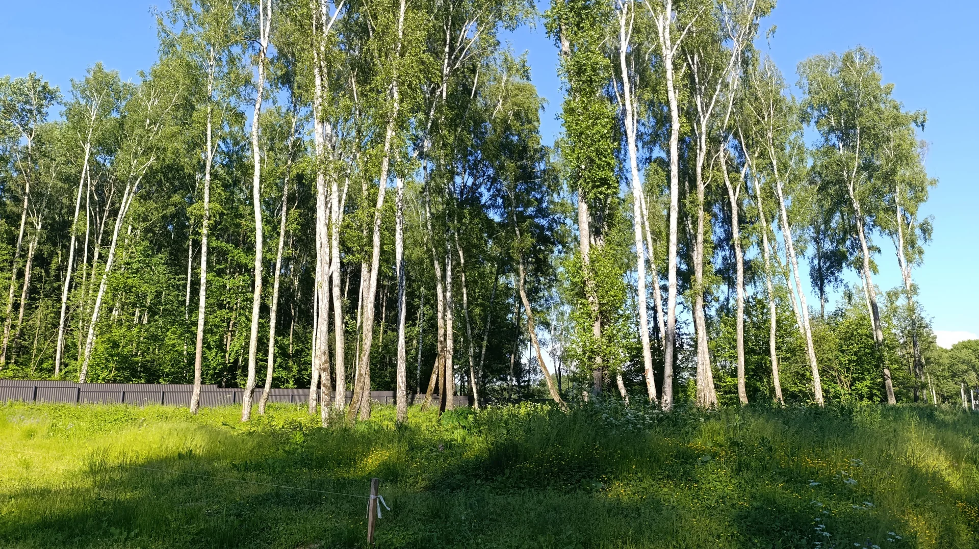 Дом 116 м2 - миниатюра 5