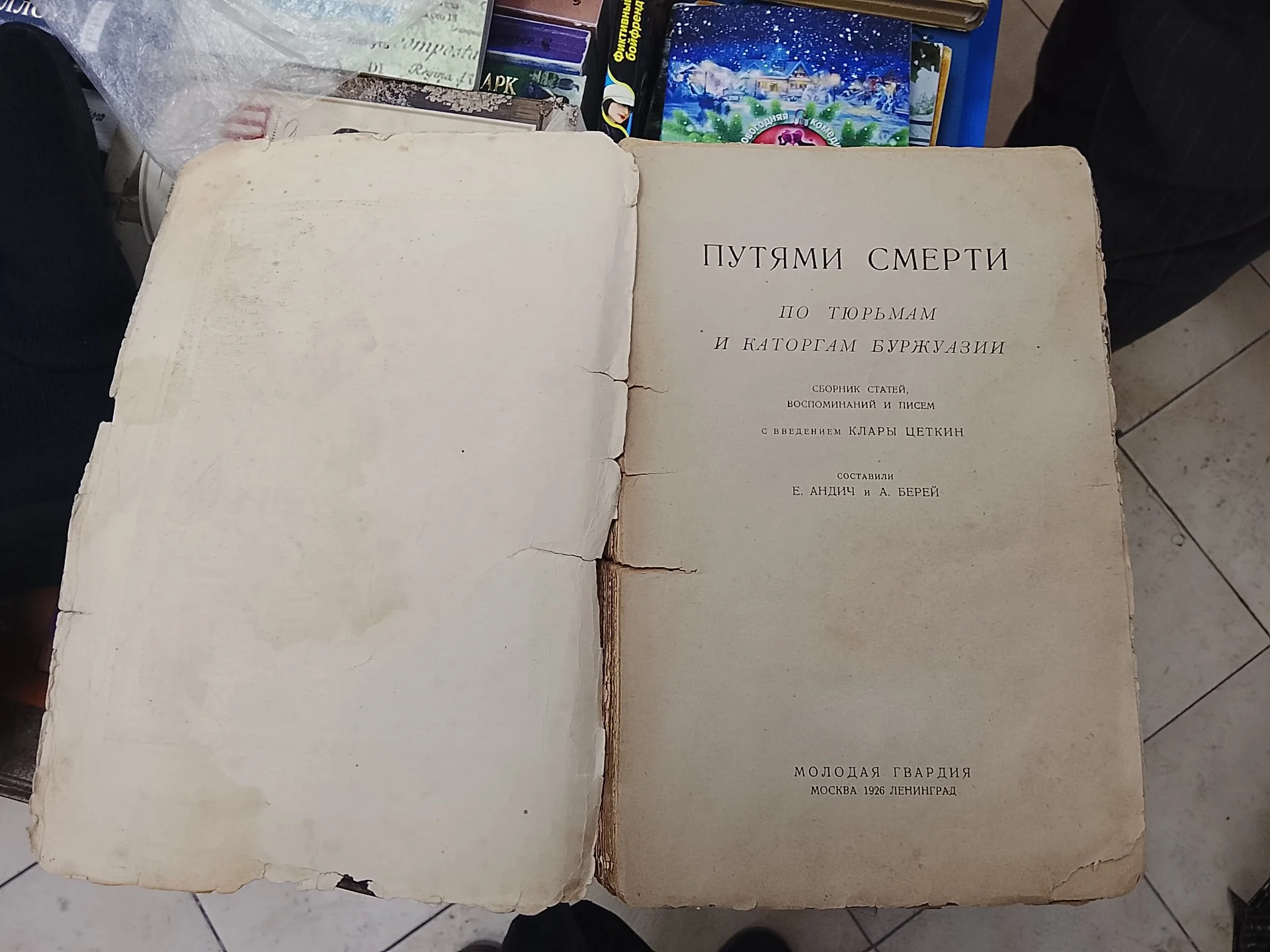 Книга 1926г - миниатюра 2