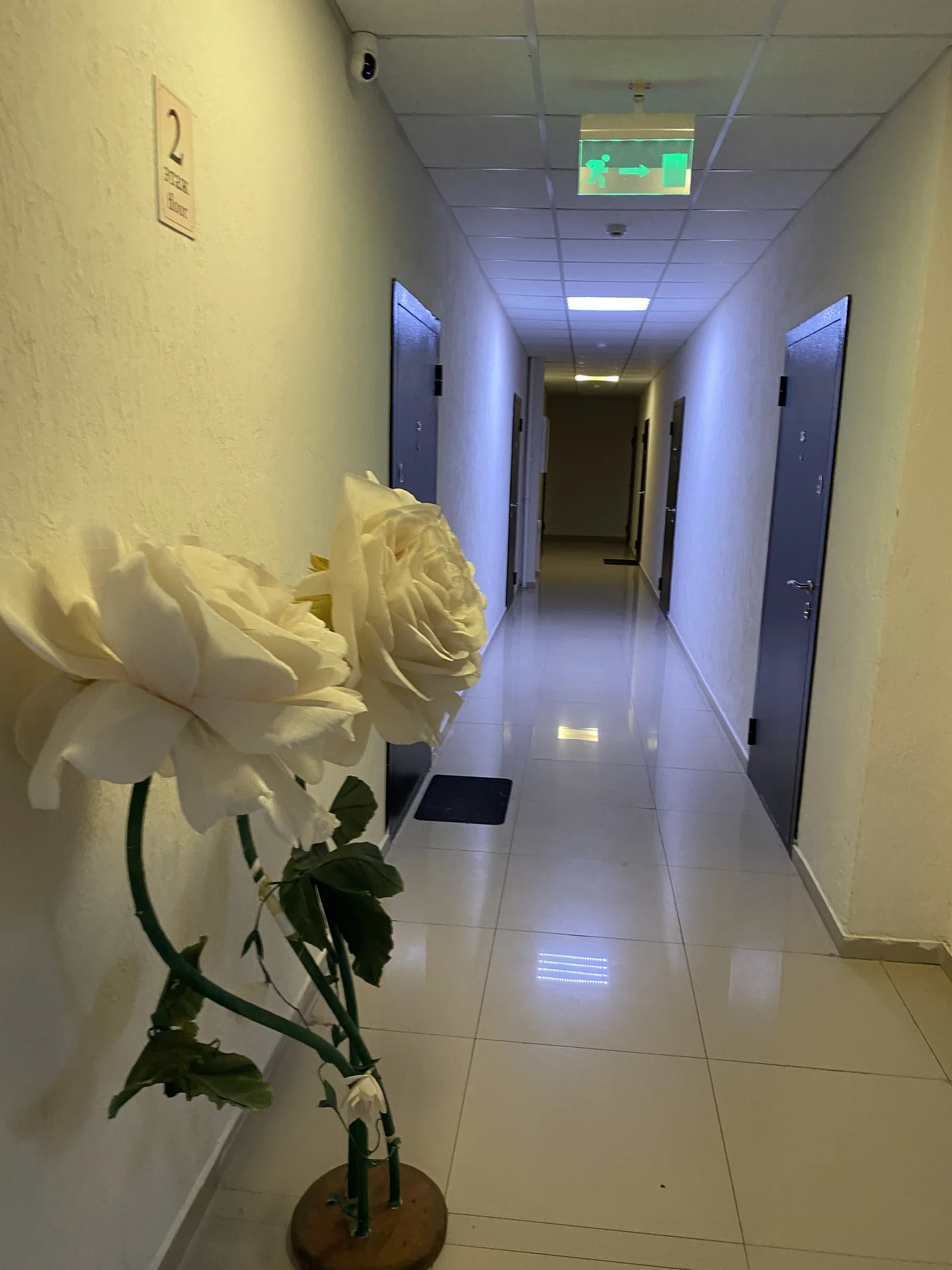 Сдам квартиру в Сочи - миниатюра 12
