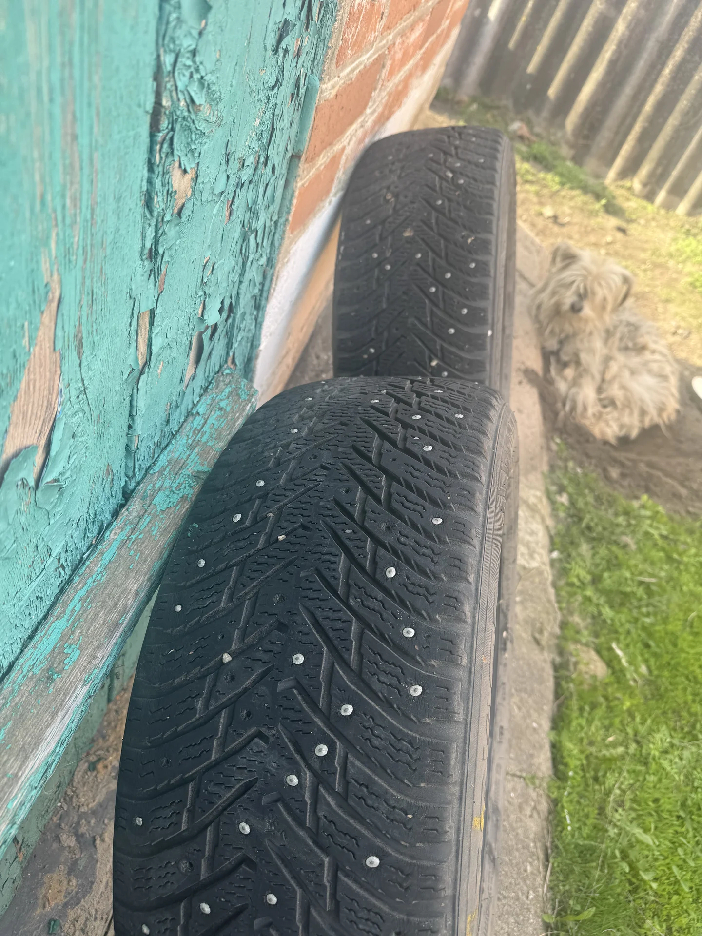 Nokian Tyres Hakkapeliitta 8 205/55 R16 94T - миниатюра 7