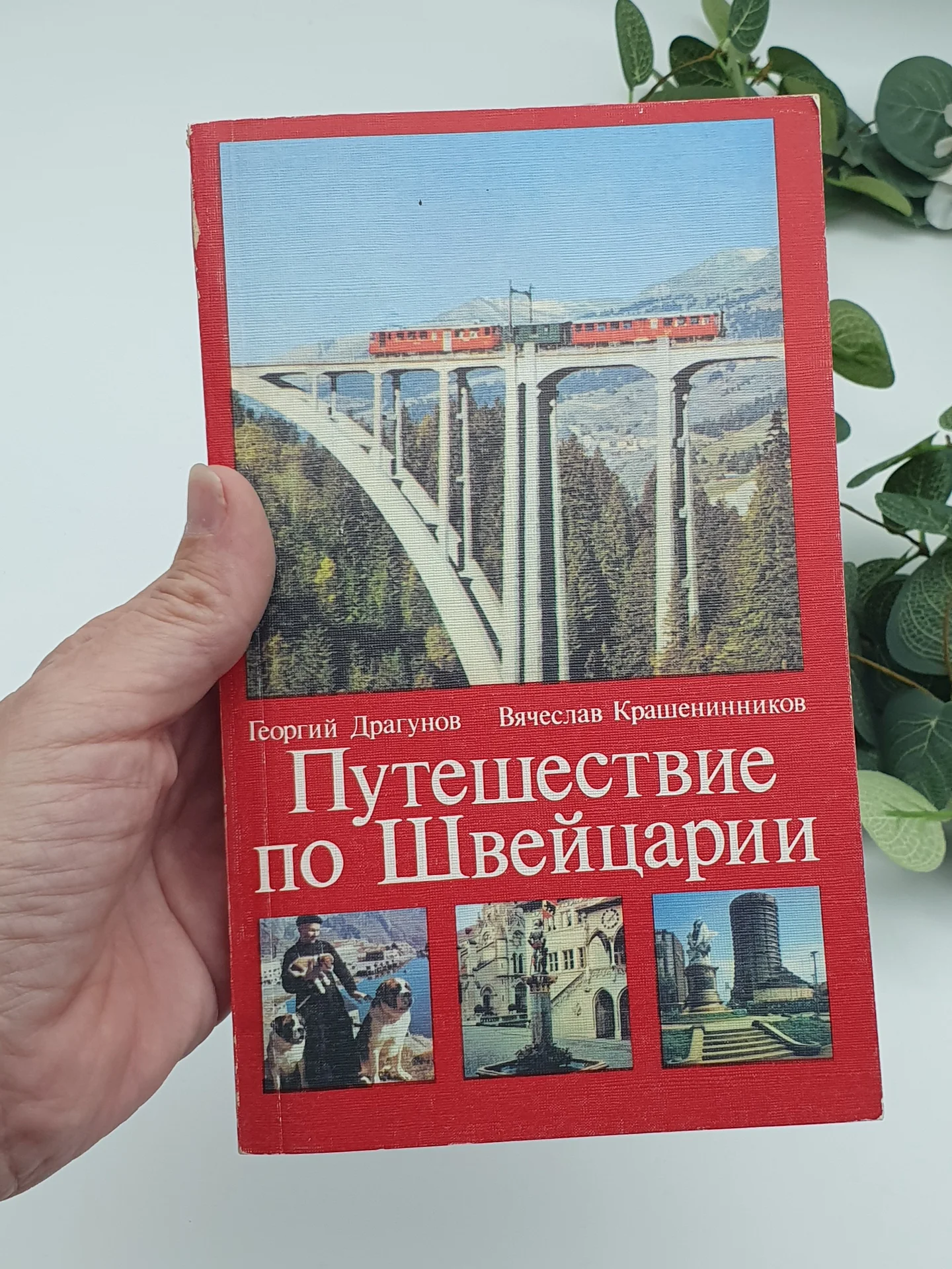 Книга Путешествие по Швейцарии - изображение 1