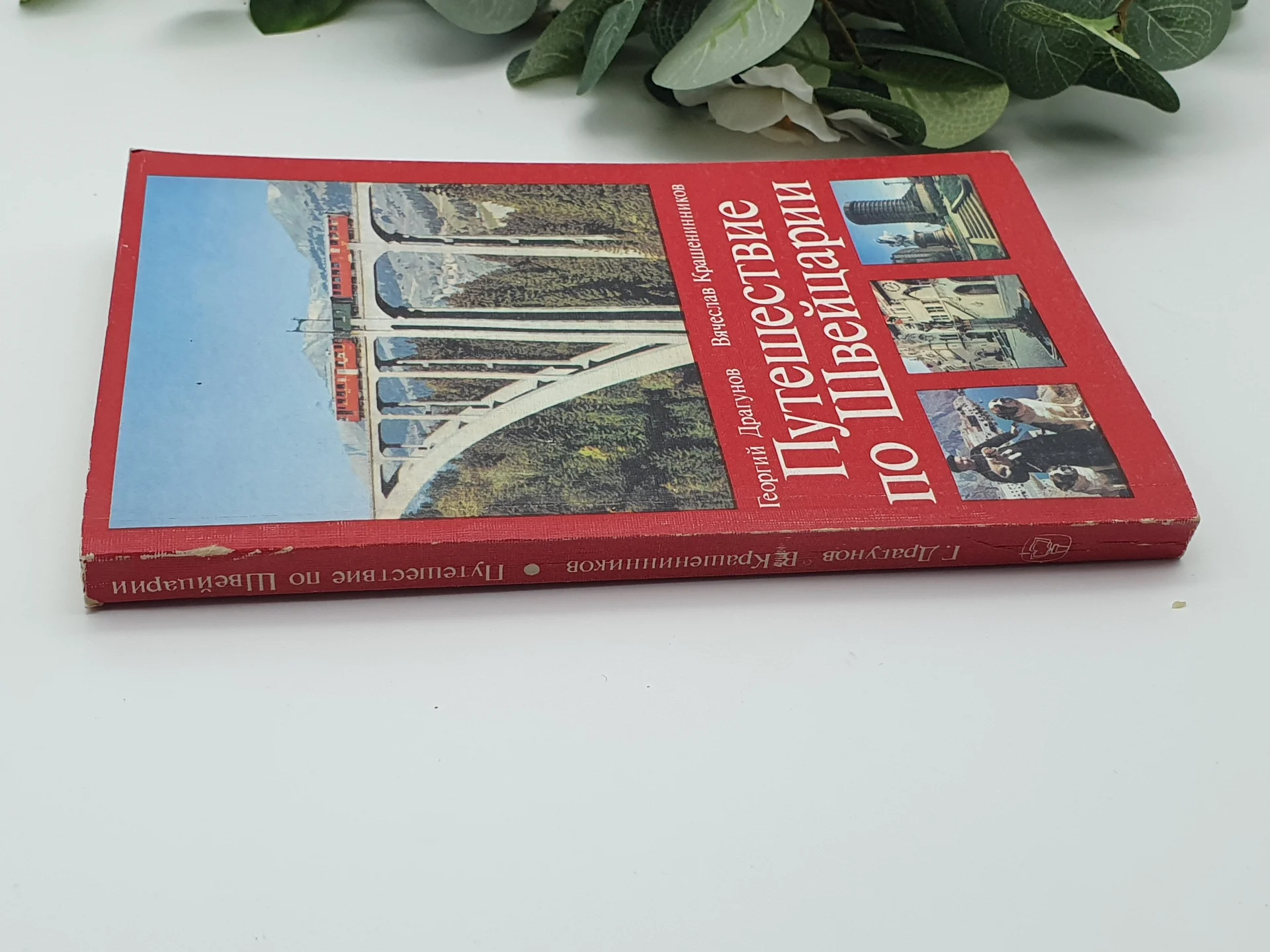 Книга Путешествие по Швейцарии - миниатюра 8