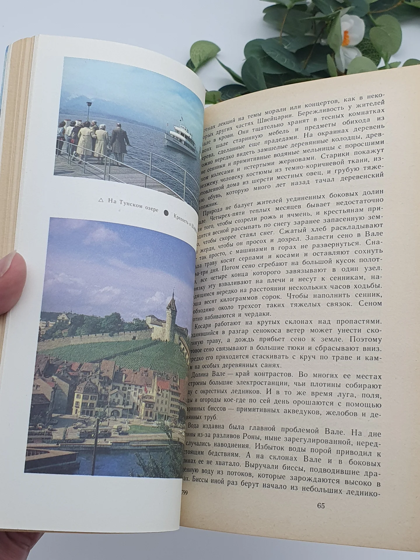 Книга Путешествие по Швейцарии - миниатюра 9