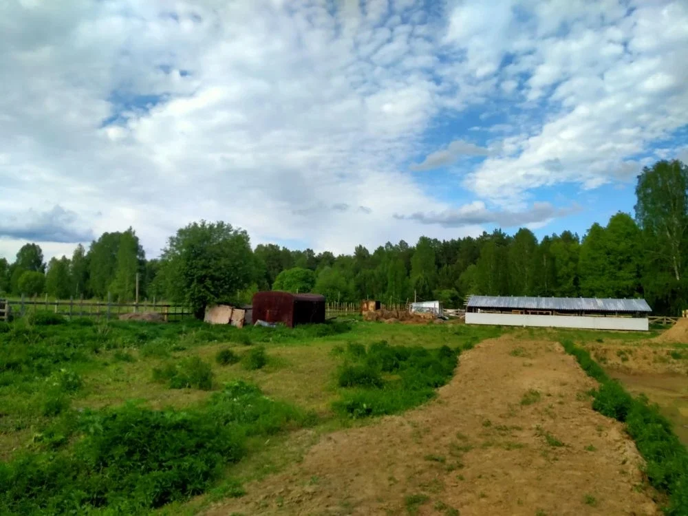 Большой участок в Тандашково - миниатюра 3