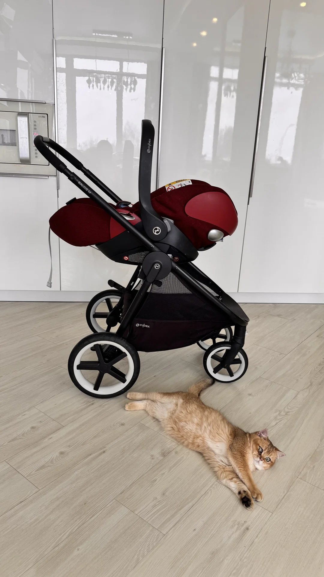 Коляска прогулочная + автолюлька cybex
