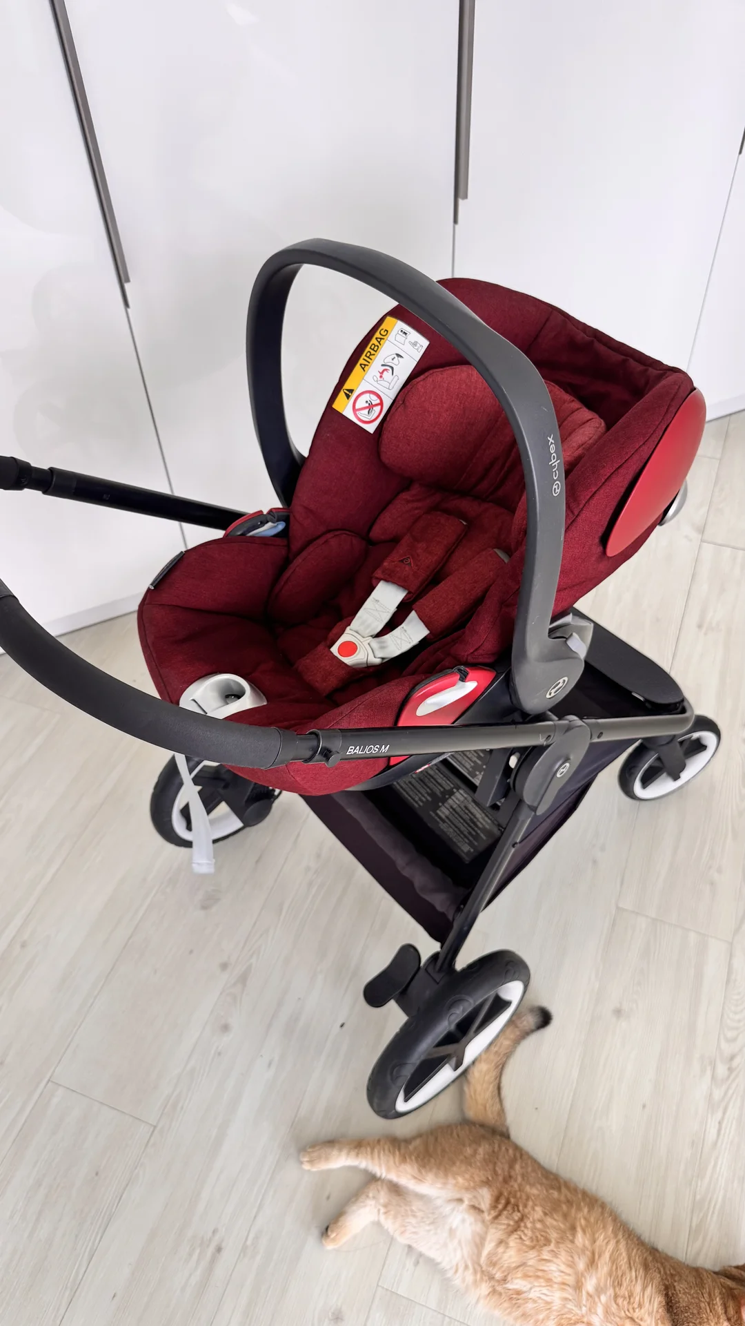 Коляска прогулочная + автолюлька cybex - миниатюра 3