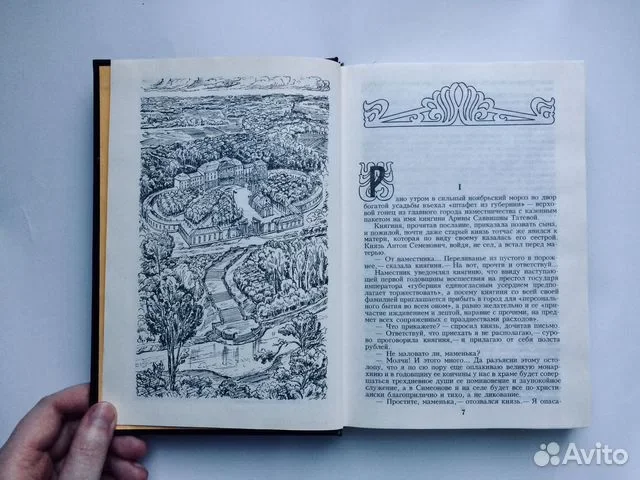 Книга Шемякин суд - миниатюра 3