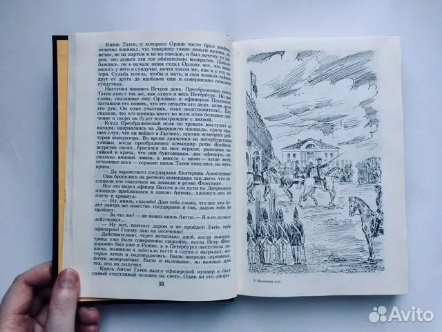 Книга Шемякин суд - миниатюра 5