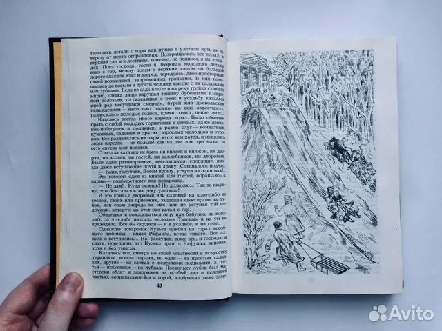 Книга Шемякин суд - миниатюра 7