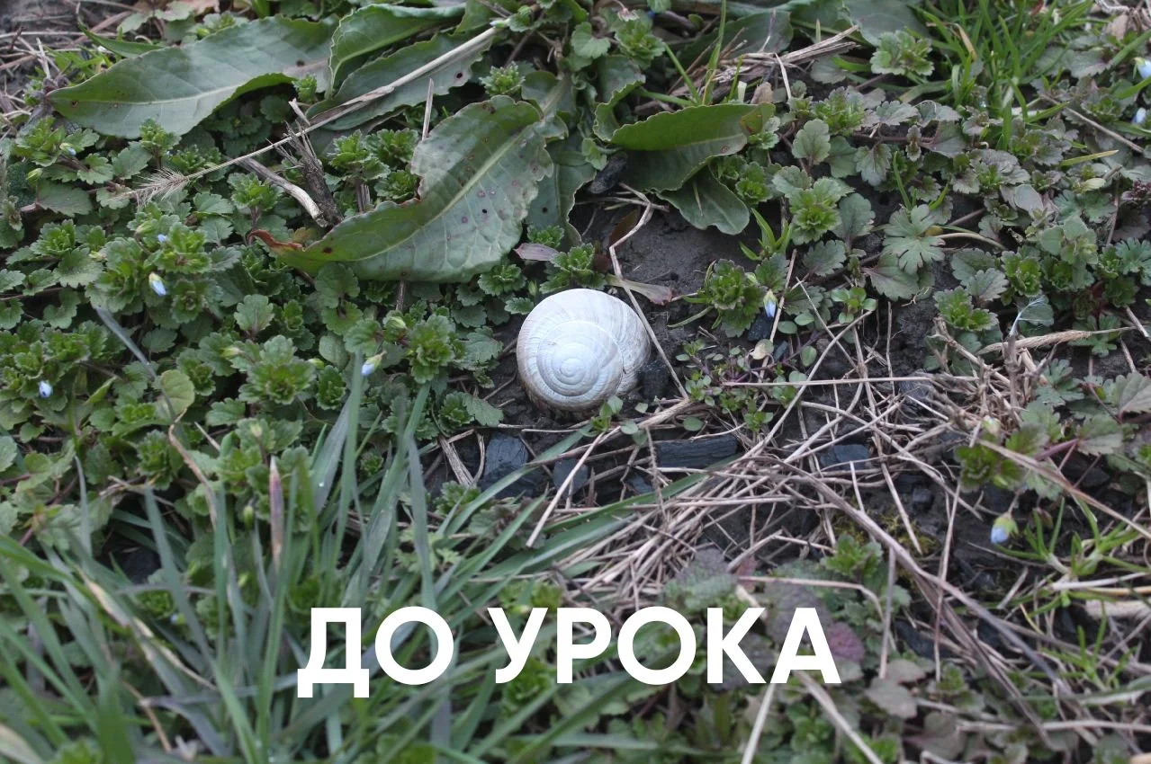 Бесплатный урок фотографии в Краснодаре - миниатюра 5