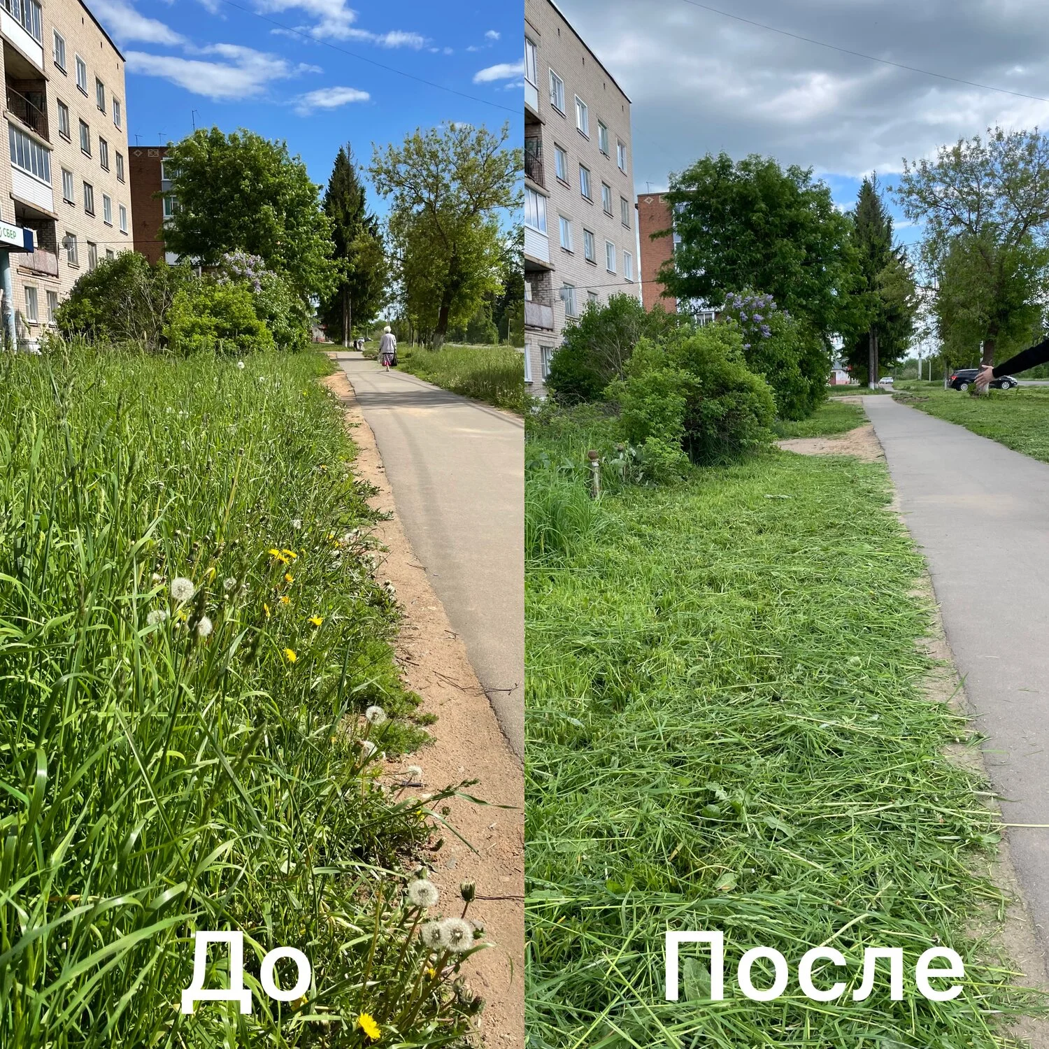Покос травы - миниатюра 5