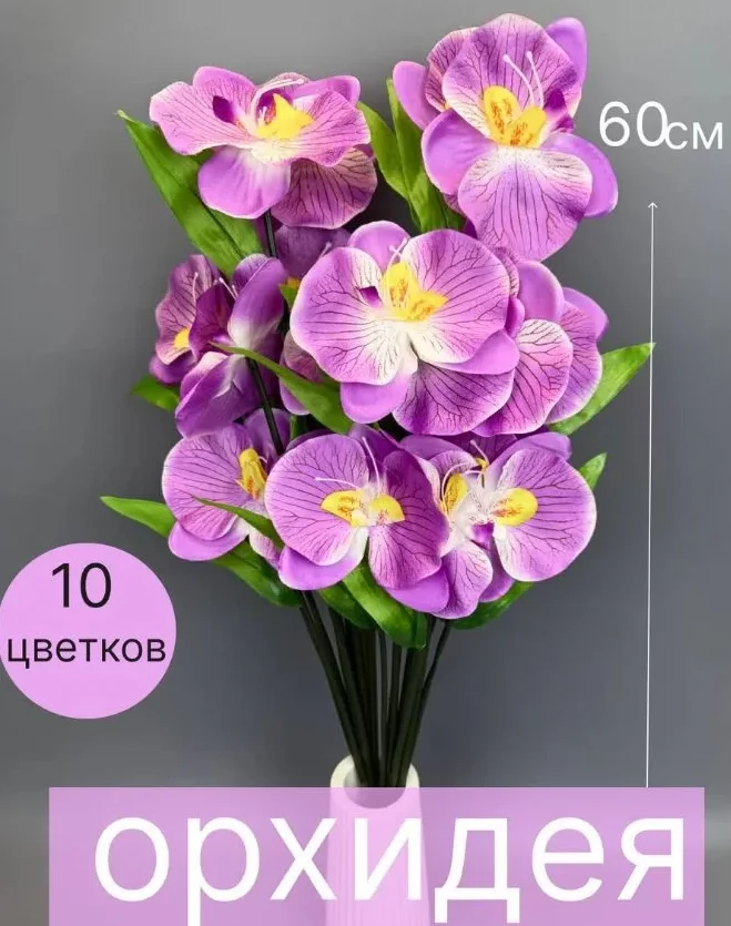 Орхидеи - изображение 1
