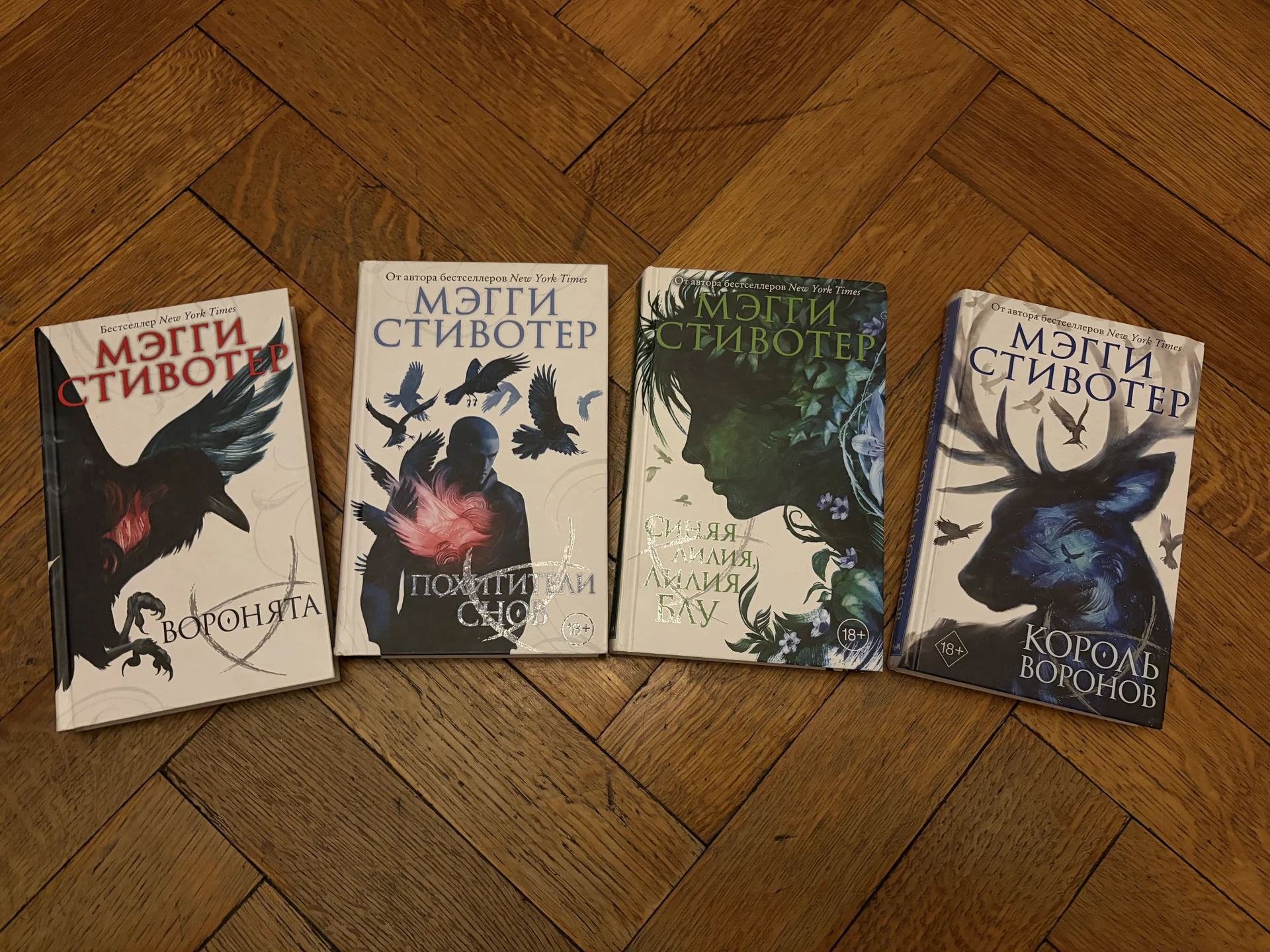 Серия книг «Вороновый круг», Мэгги Стивотер - изображение 1
