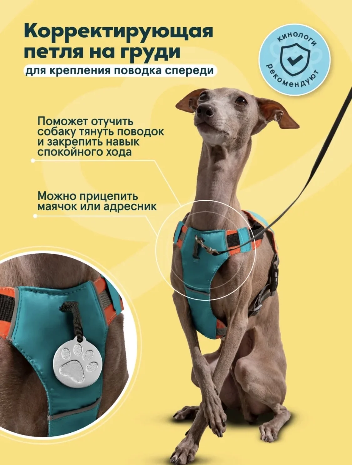 Шлейка для собак - миниатюра 2