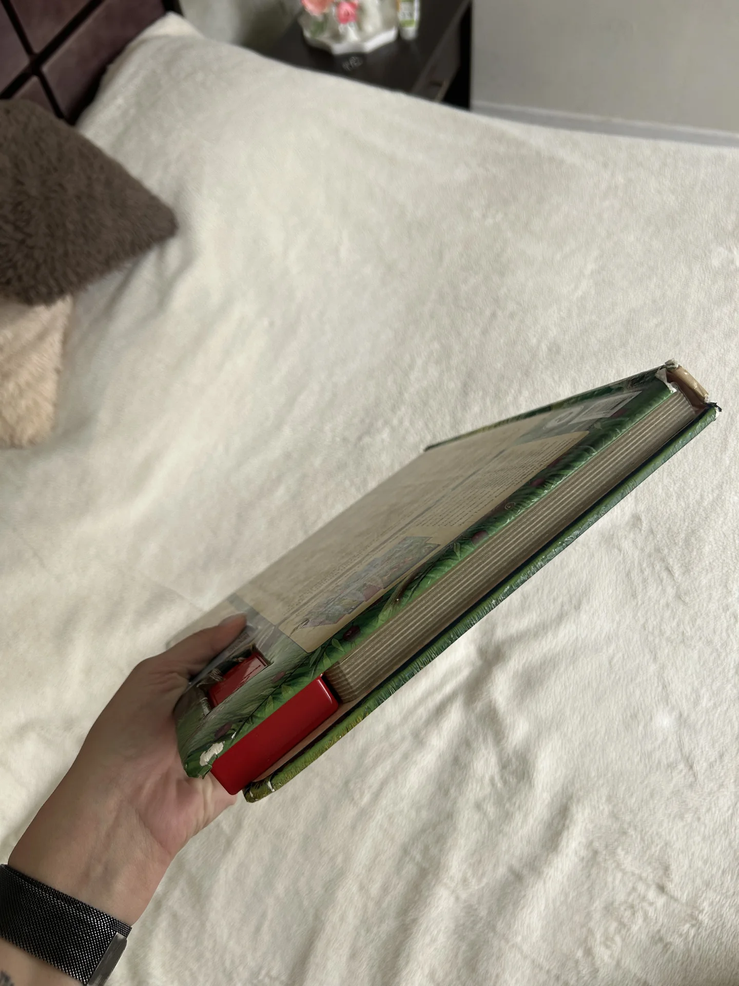 Книга детская Бемби - миниатюра 6