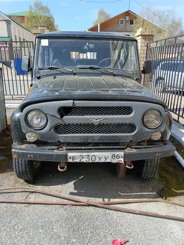 УАЗ-315195, 2009 года изготовления, идентификационный номер (VIN) XTT31519590576923