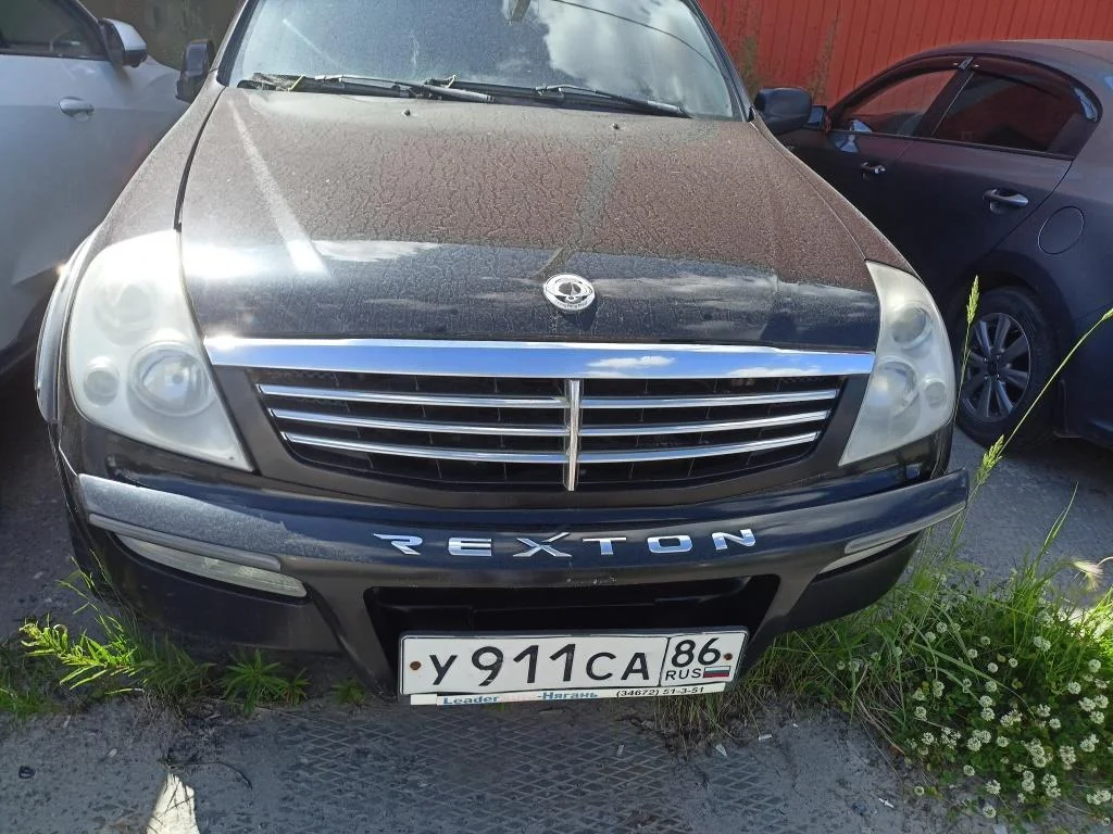 SsangYong Rexton RX320 - изображение 1