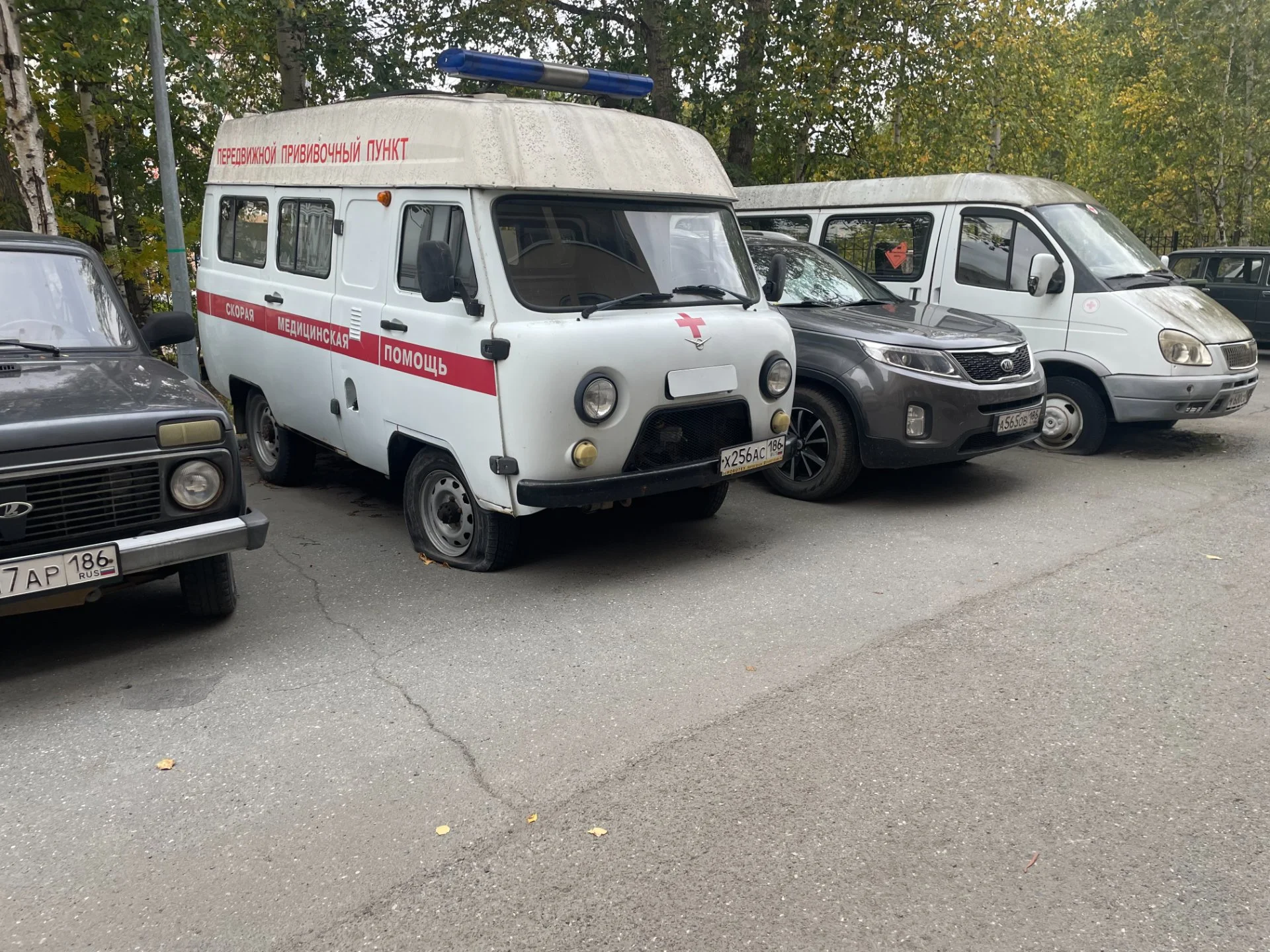 (А/м скорой мед.помощи) УАЗ 396255 - миниатюра 4