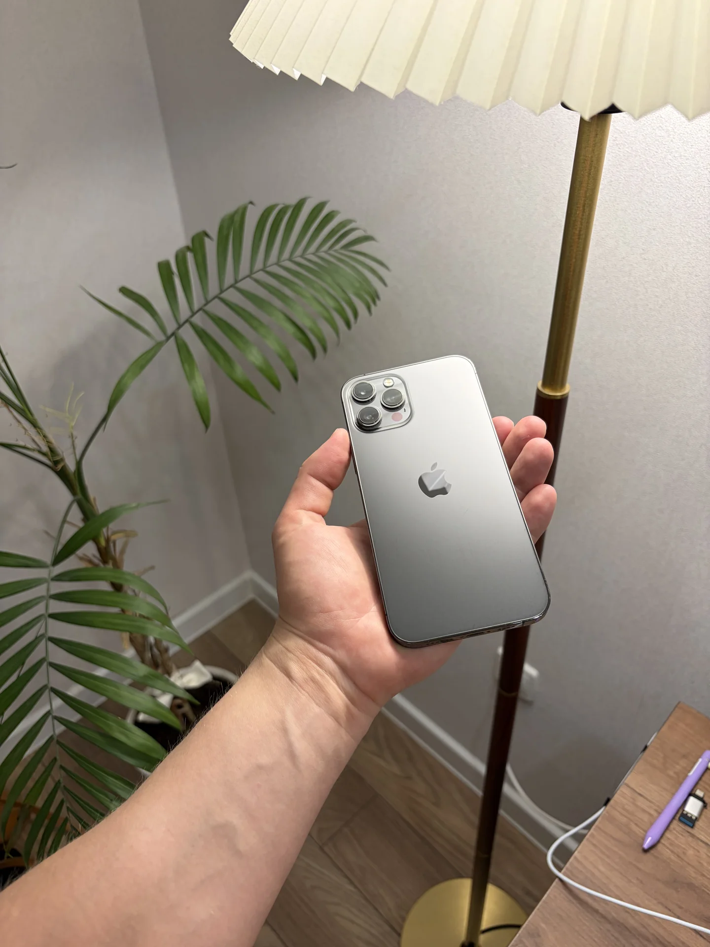 iPhone 12 Pro Max - изображение 1