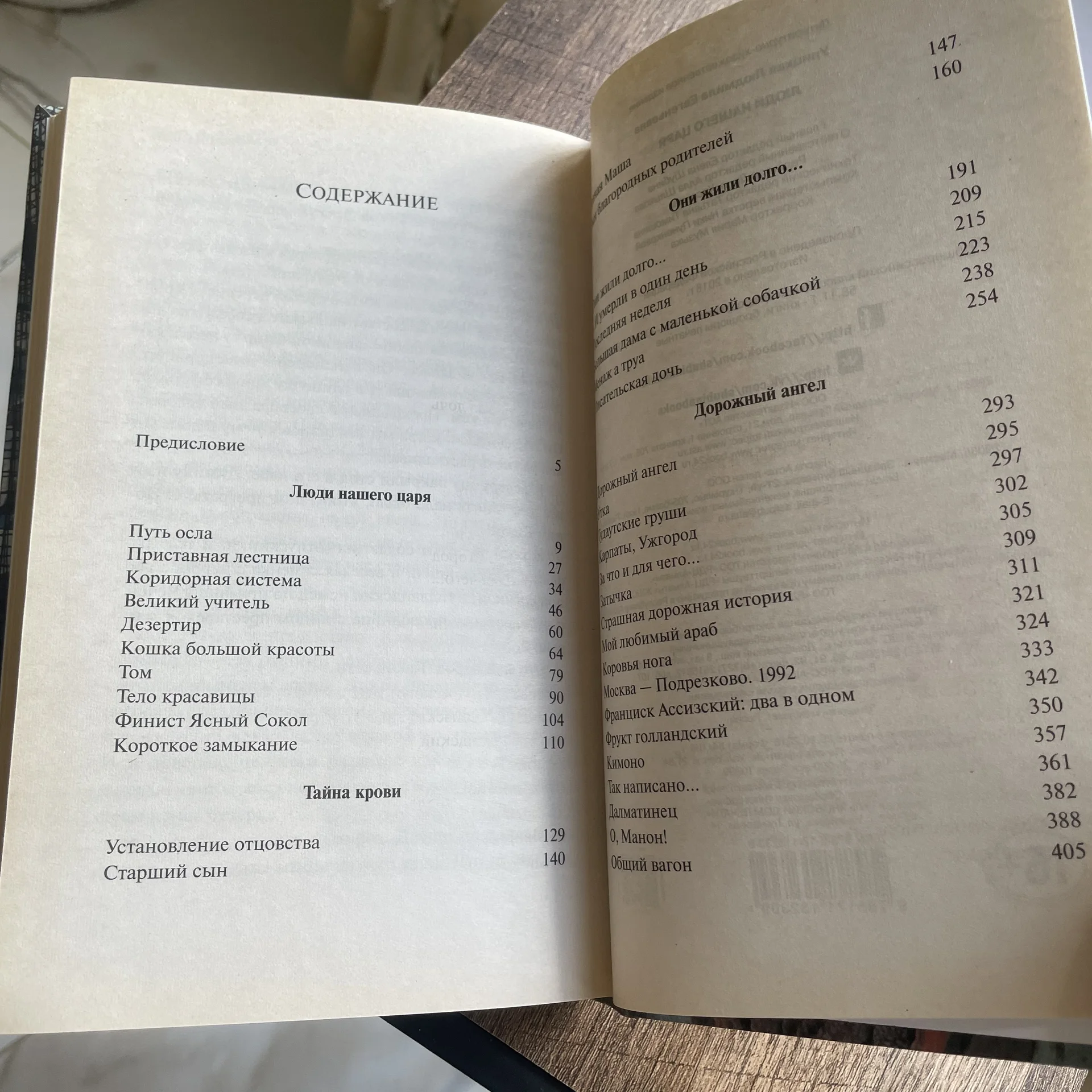 Книга - миниатюра 4