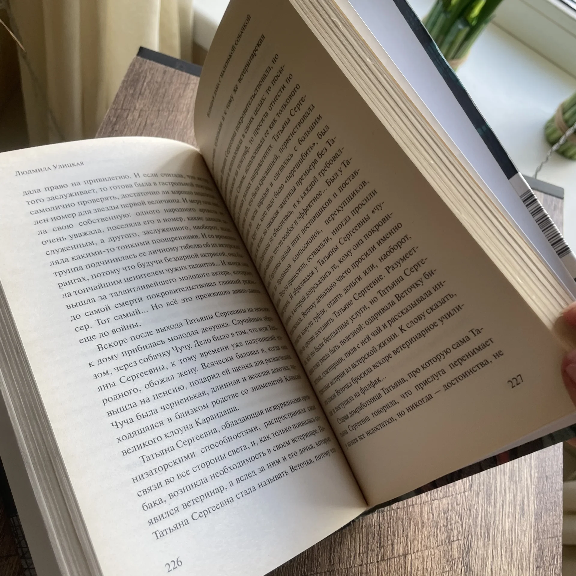 Книга - миниатюра 5