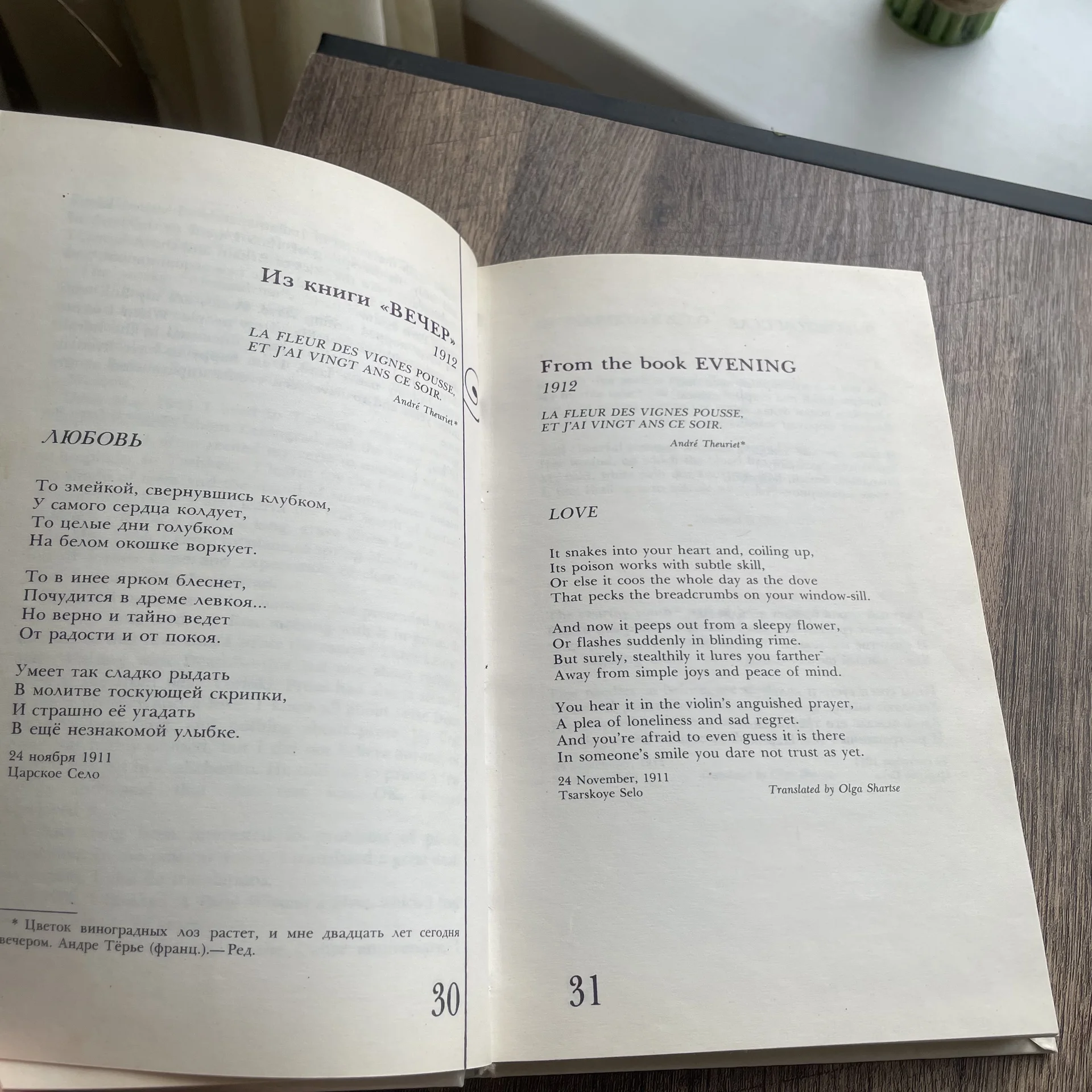 Книга - миниатюра 6