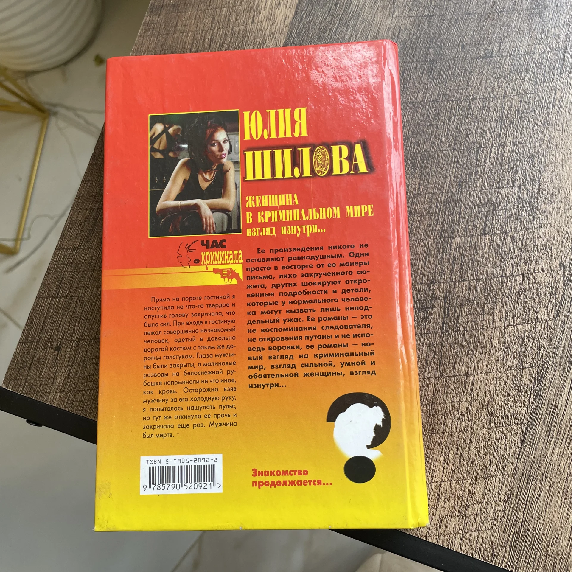 Книга - миниатюра 2