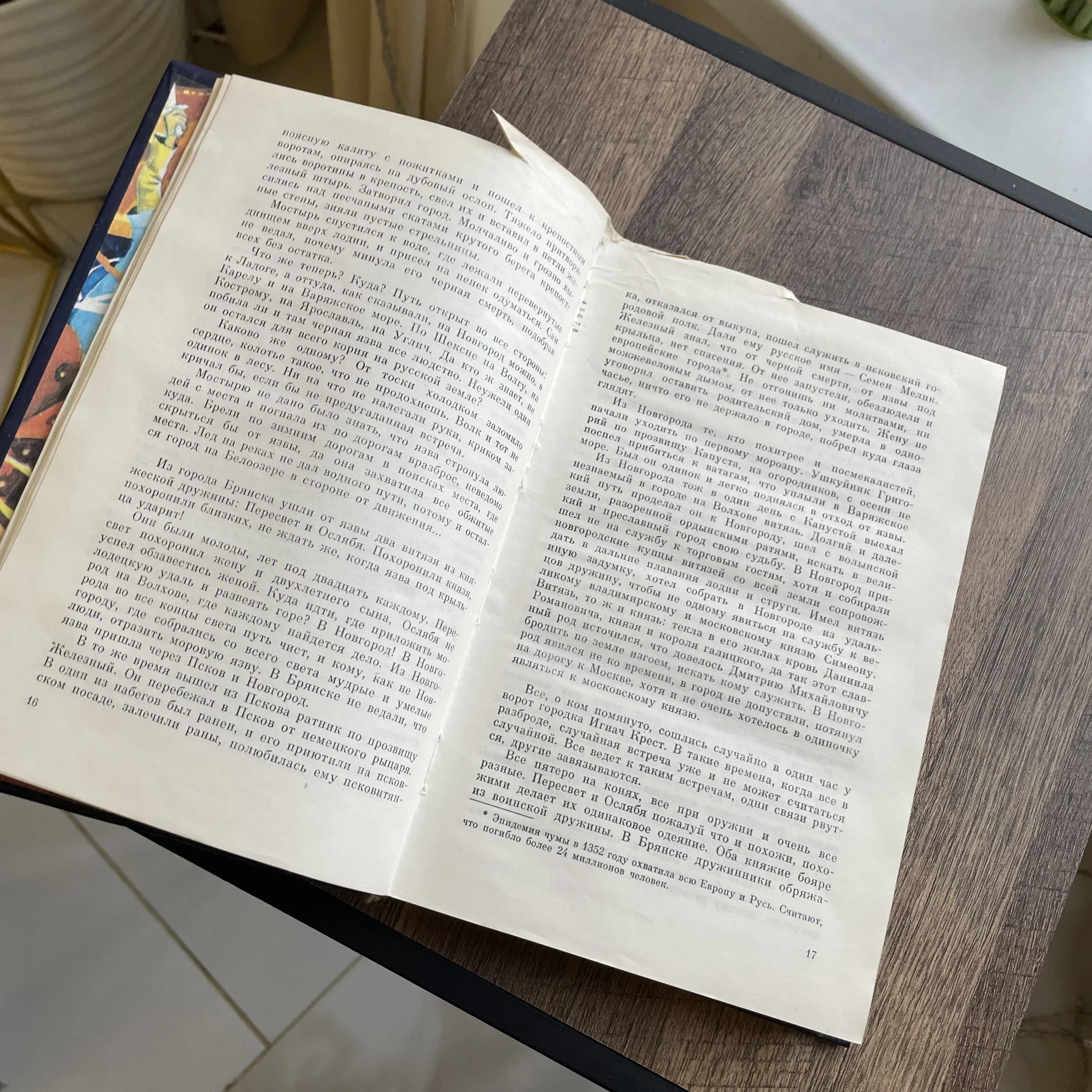 Книга - миниатюра 4