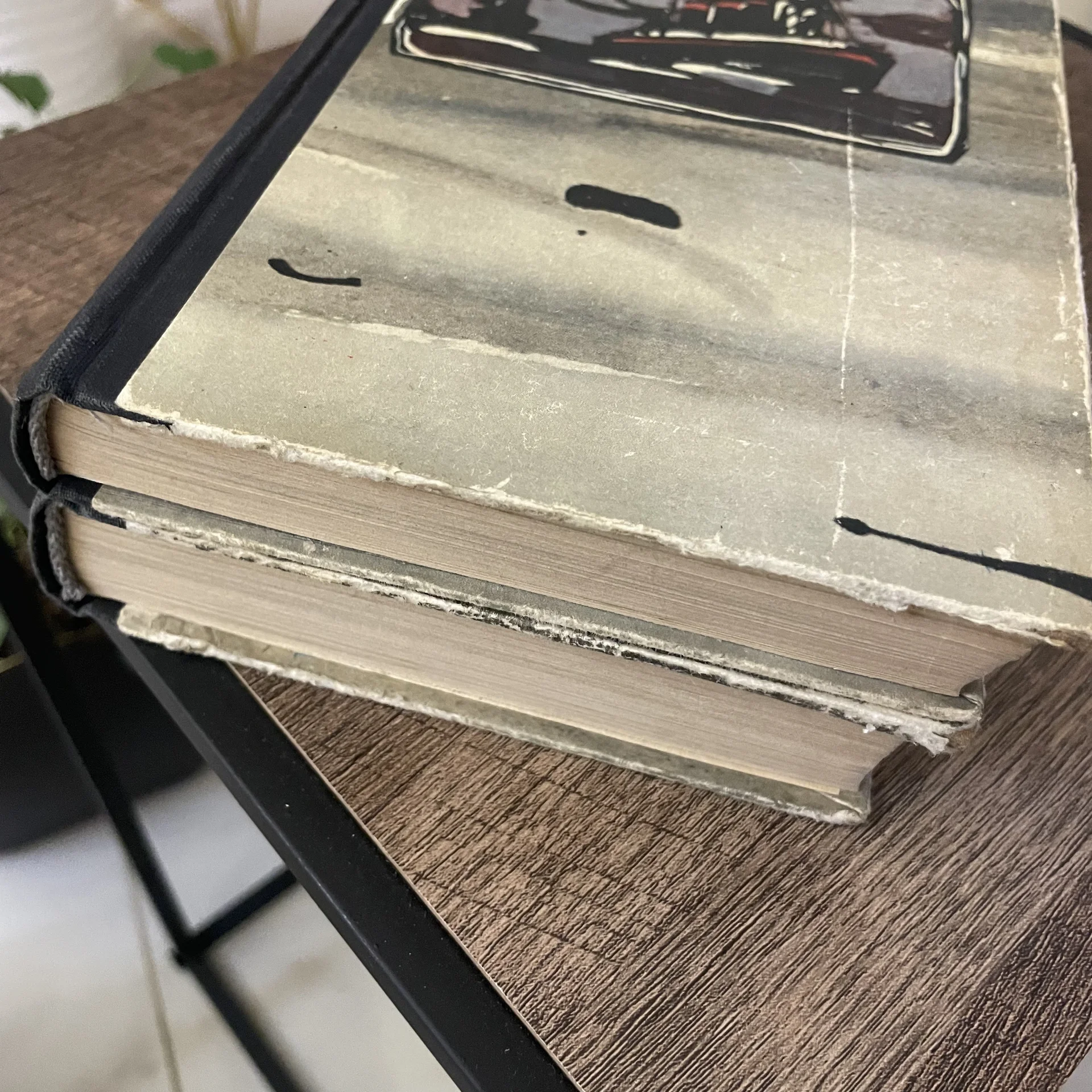 Книги - миниатюра 10