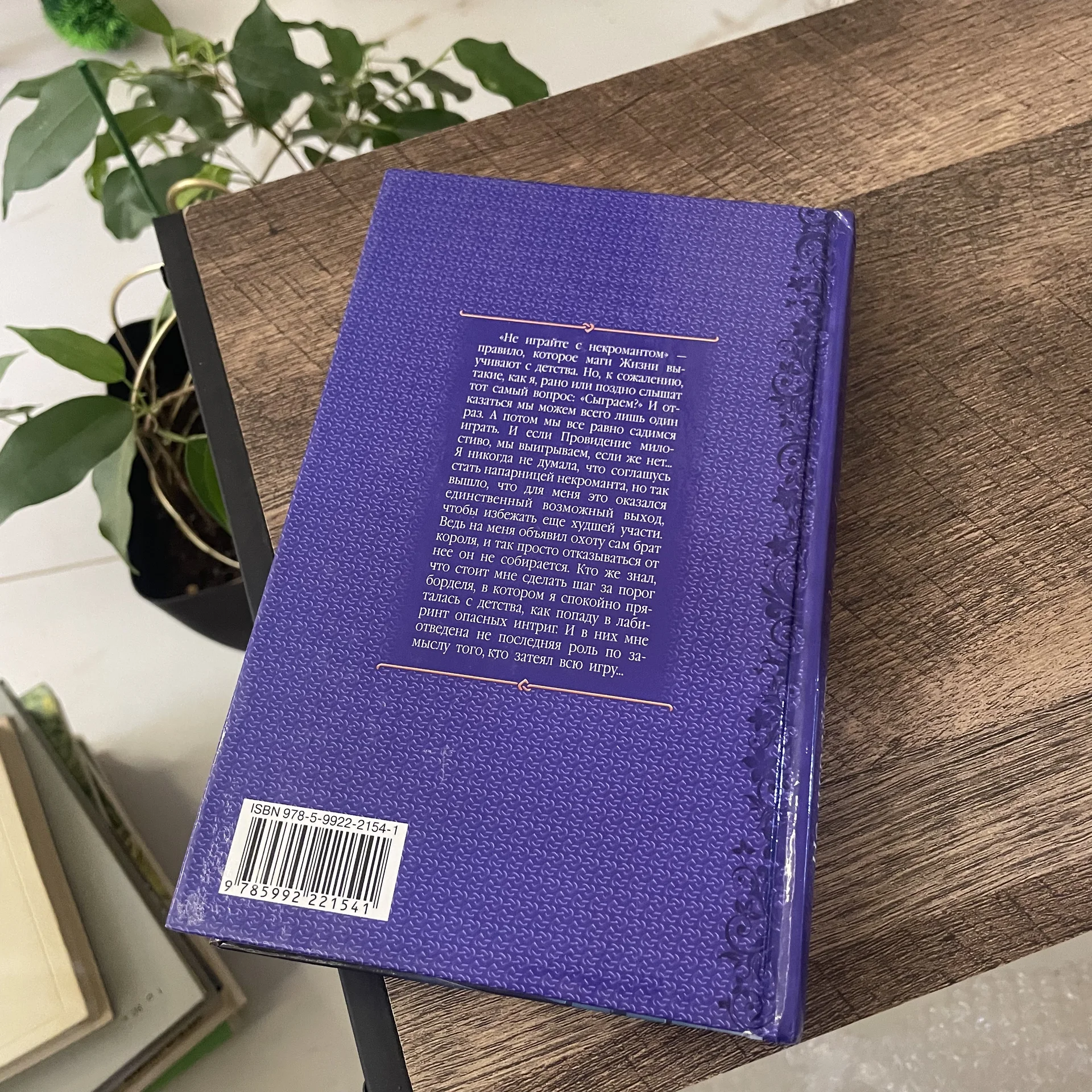 Книга - миниатюра 2