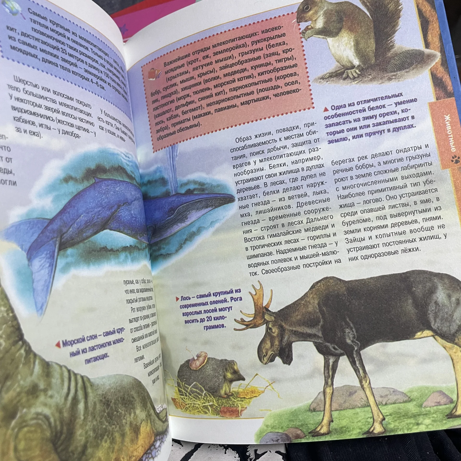 Книга для детей - миниатюра 3