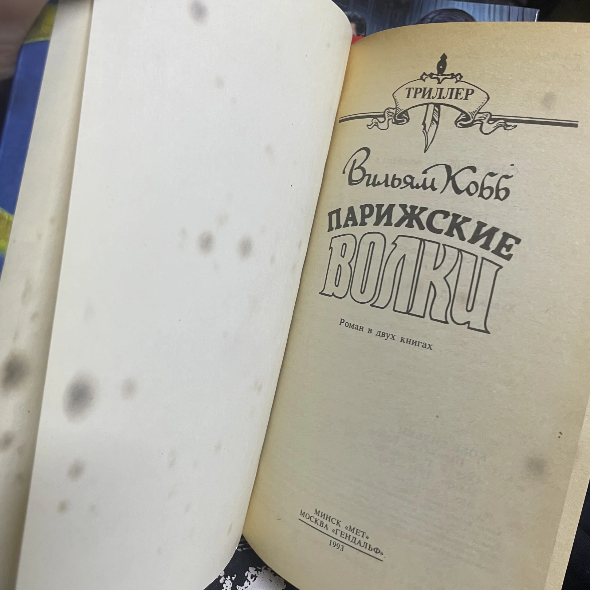 Книга - миниатюра 3