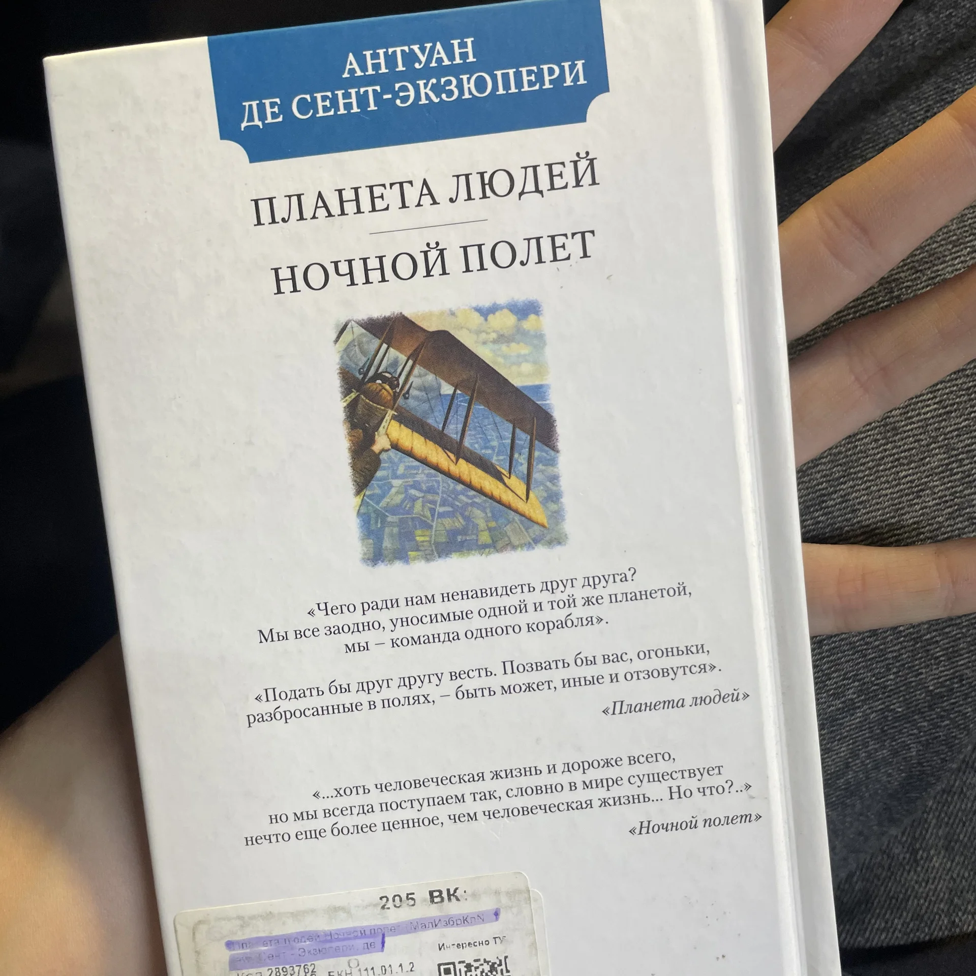 Книга - миниатюра 2