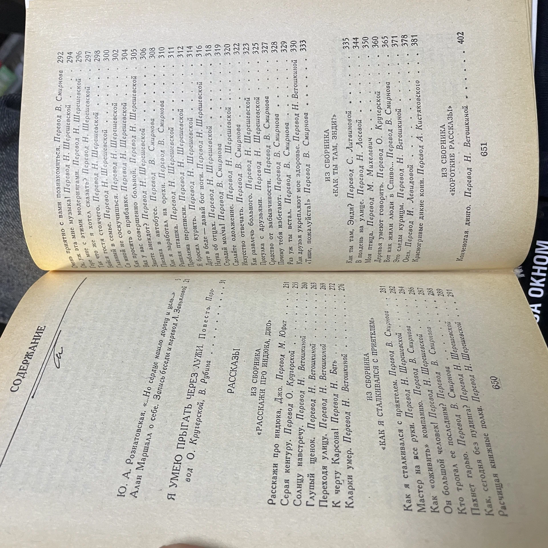 Книга - миниатюра 2