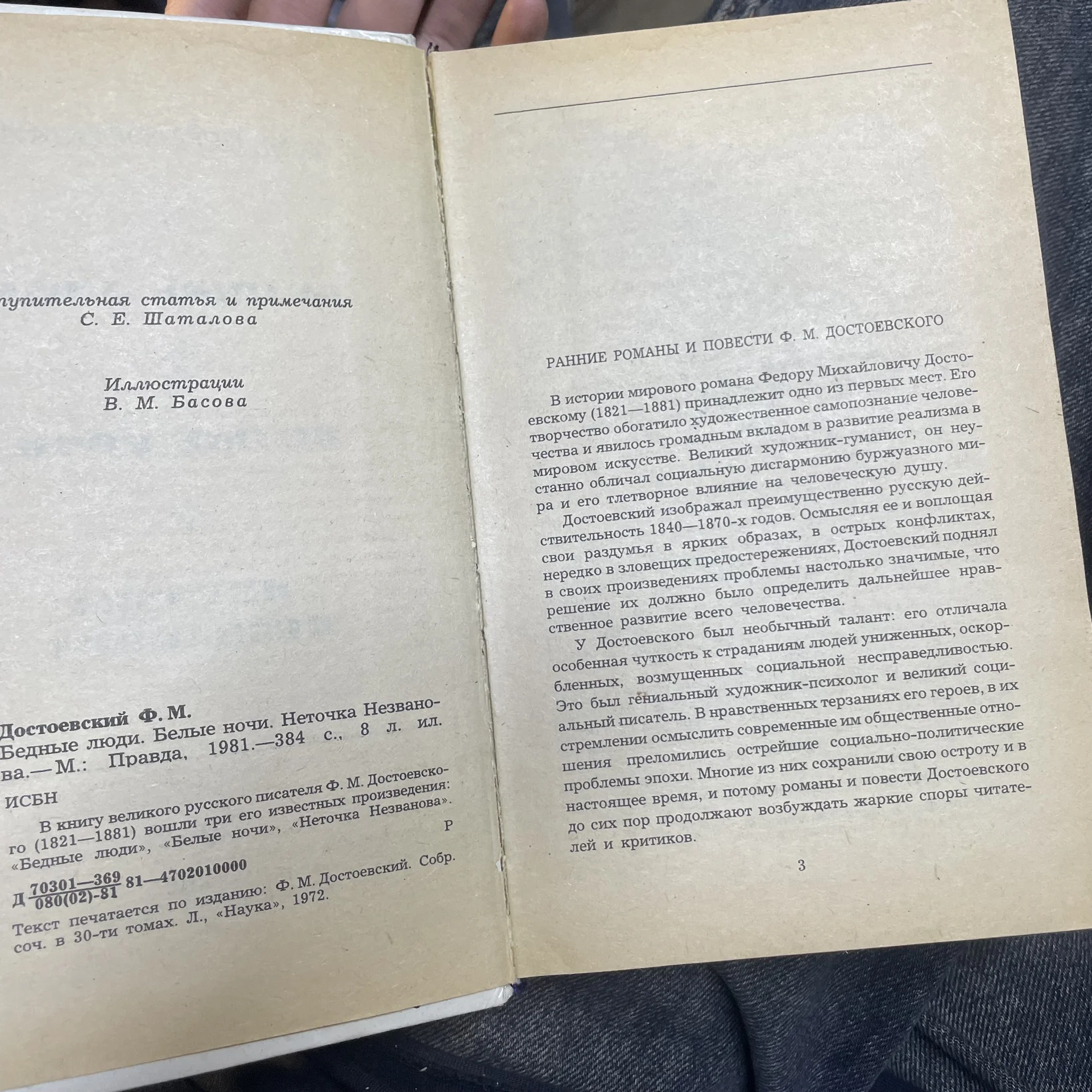 Книга - миниатюра 2