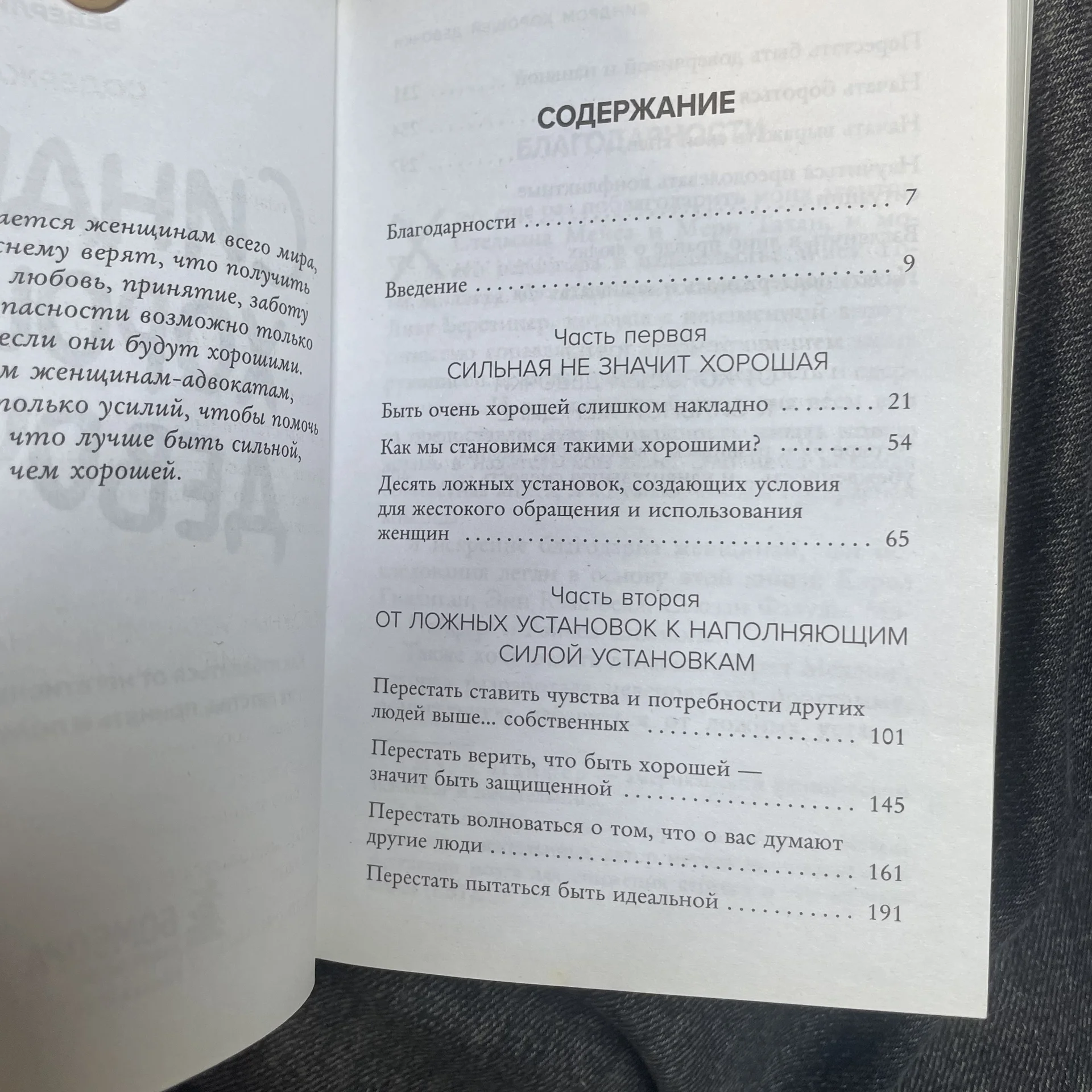Книга - миниатюра 2