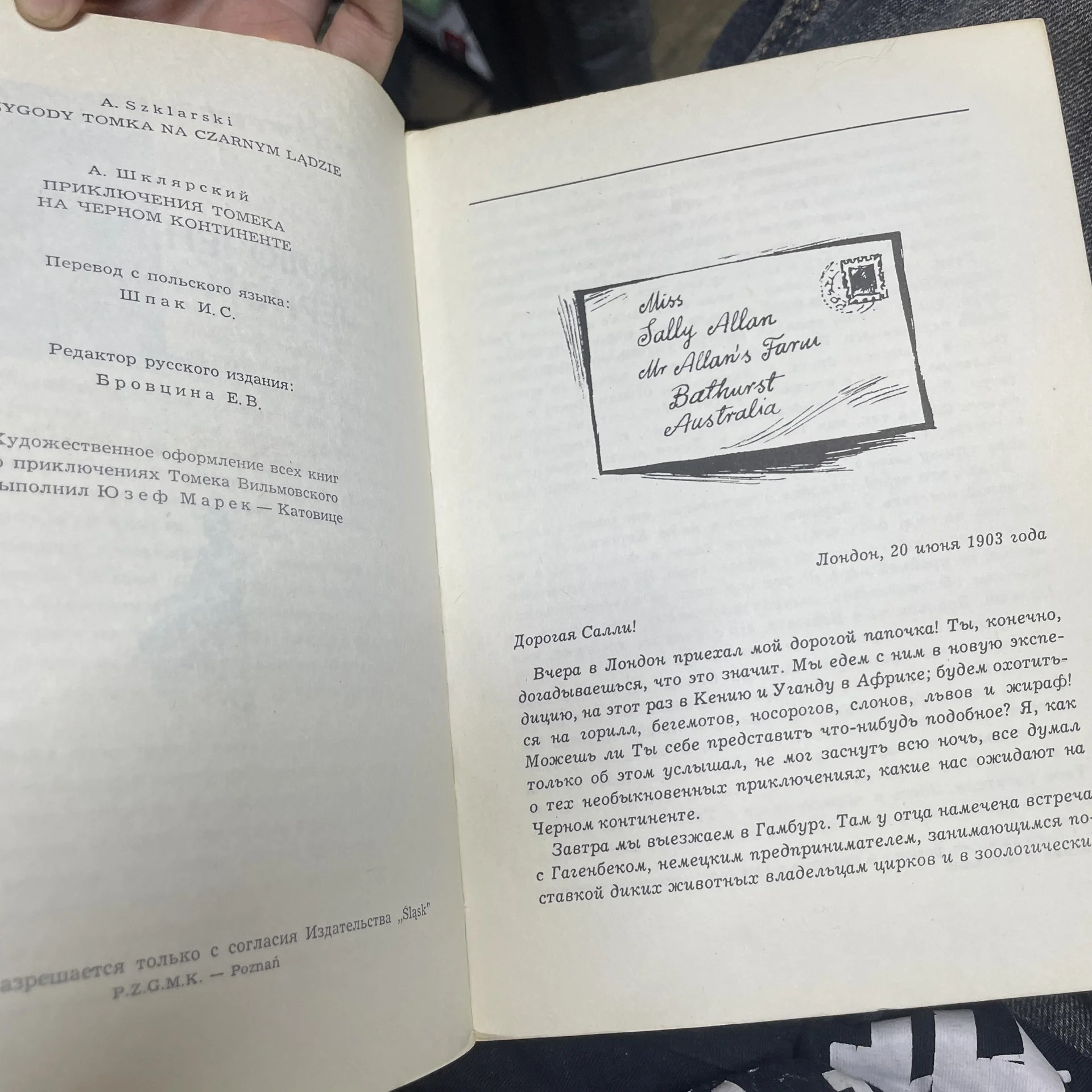 Книга - миниатюра 2