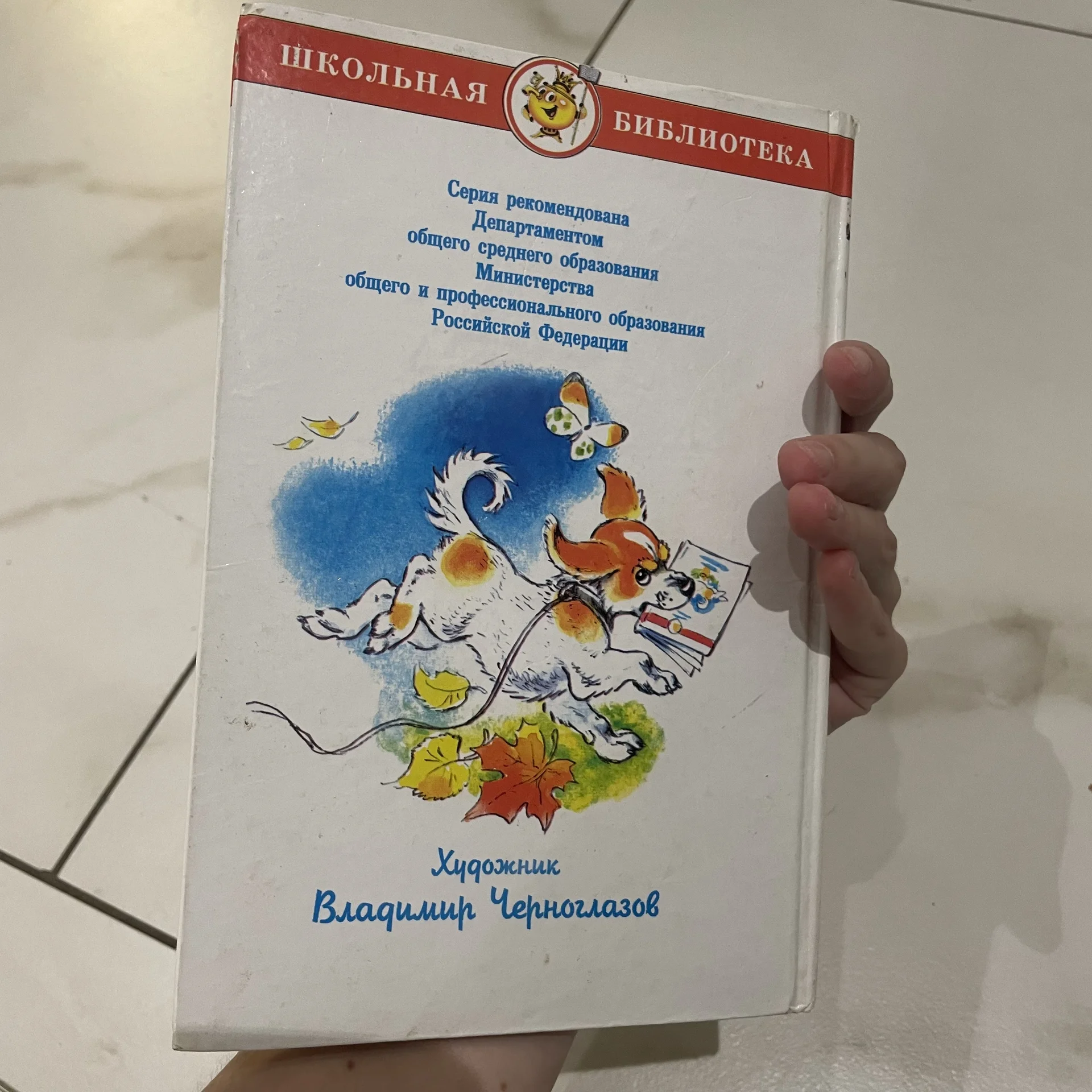 Книга - миниатюра 2