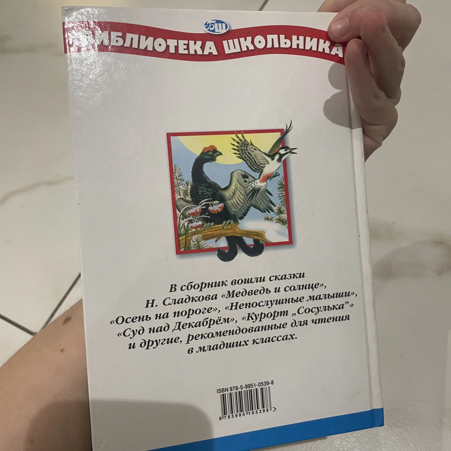 Книга - миниатюра 2