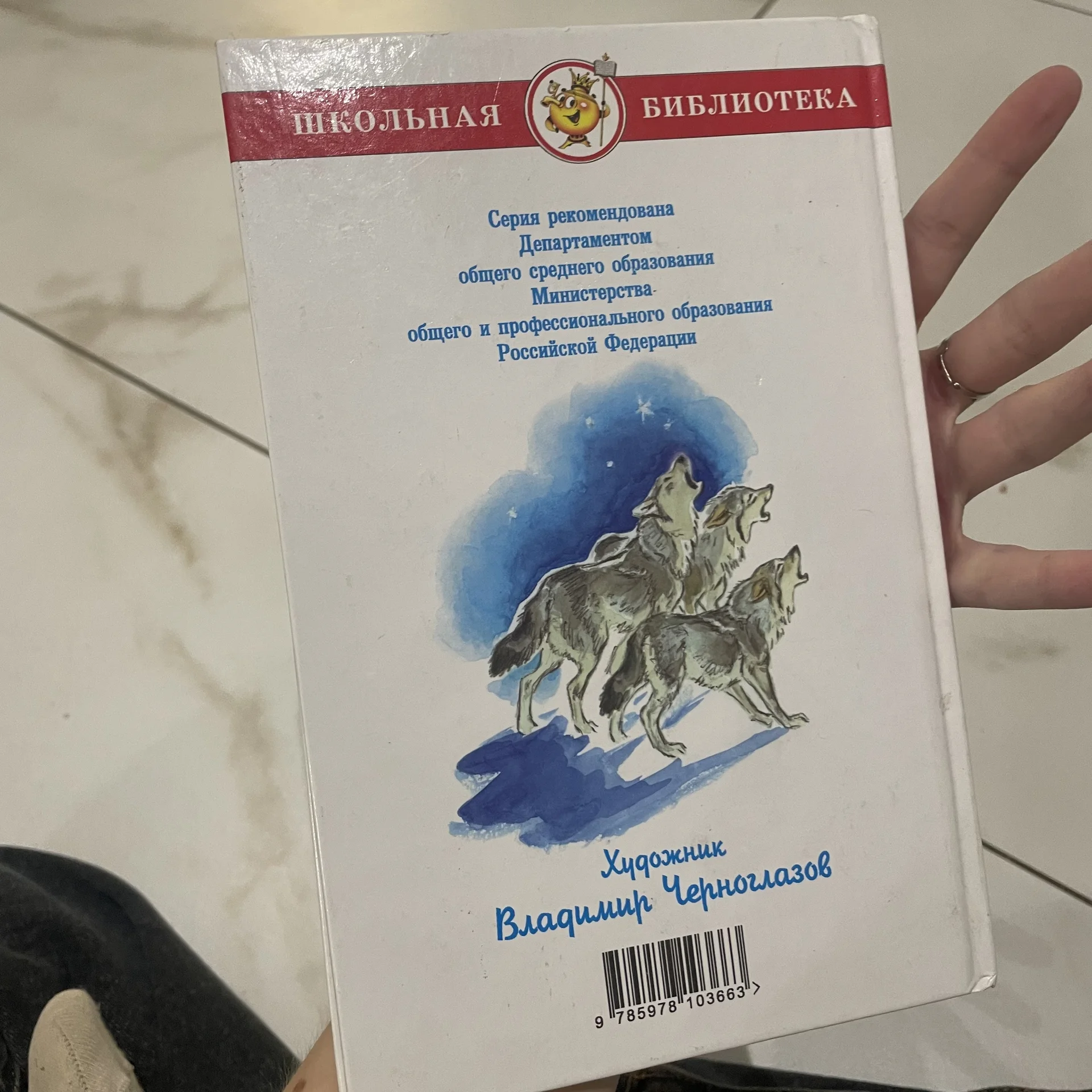 Книга - миниатюра 2